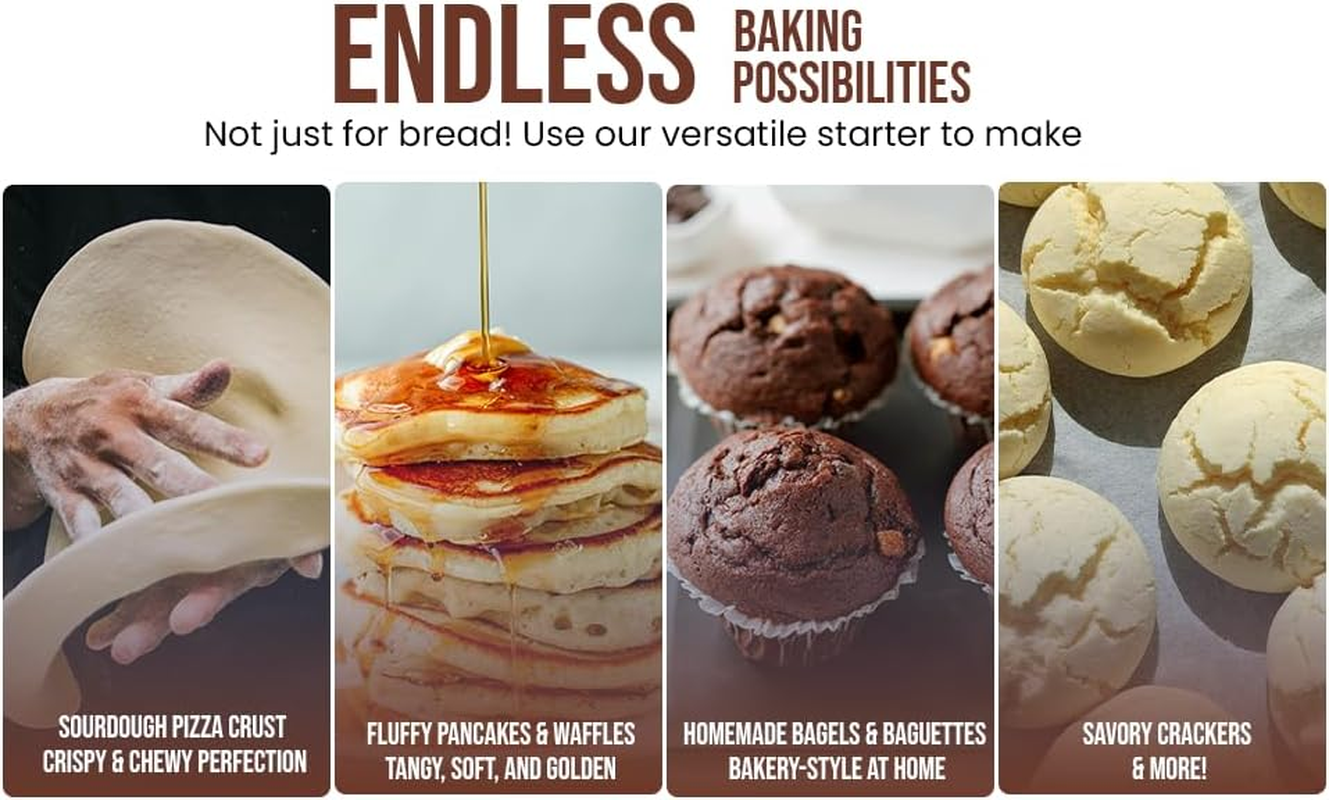 San Francisco Style Dehydrated Sourdough Starter &ndash; Activates in Just 24 Hours &ndash; Bake Fresh Artisan Bread Fast