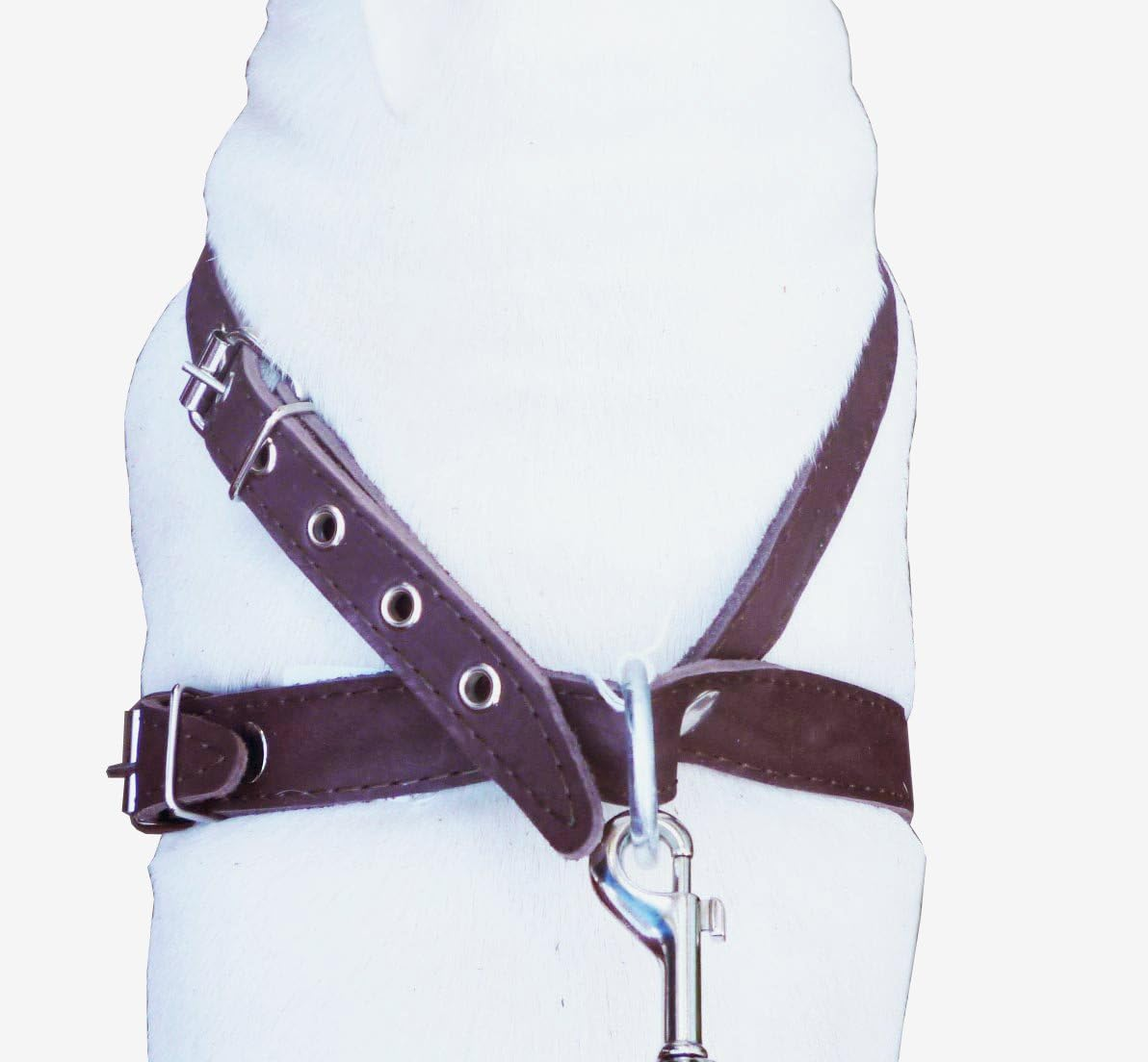 Brown Leather Dog Harness Medium. 21"-25" Chest, 1" Wide Straps