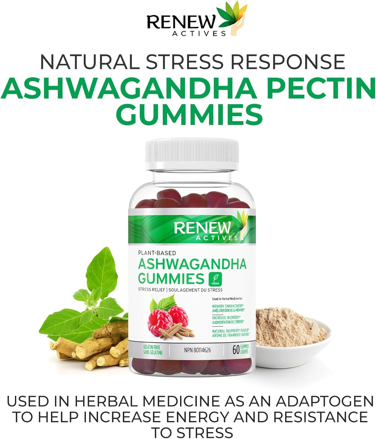 RENEW ACTIVES Ashwagandha 100MG per 4 Gummies &ndash; Memory, Focus & Energy Boost &ndash; Traditionally Used as a Rejuvenative Tonic &ndash; Vegan, Herbal Adaptogen &ndash; Made in Canada &ndash; 60 Gummies image number 4