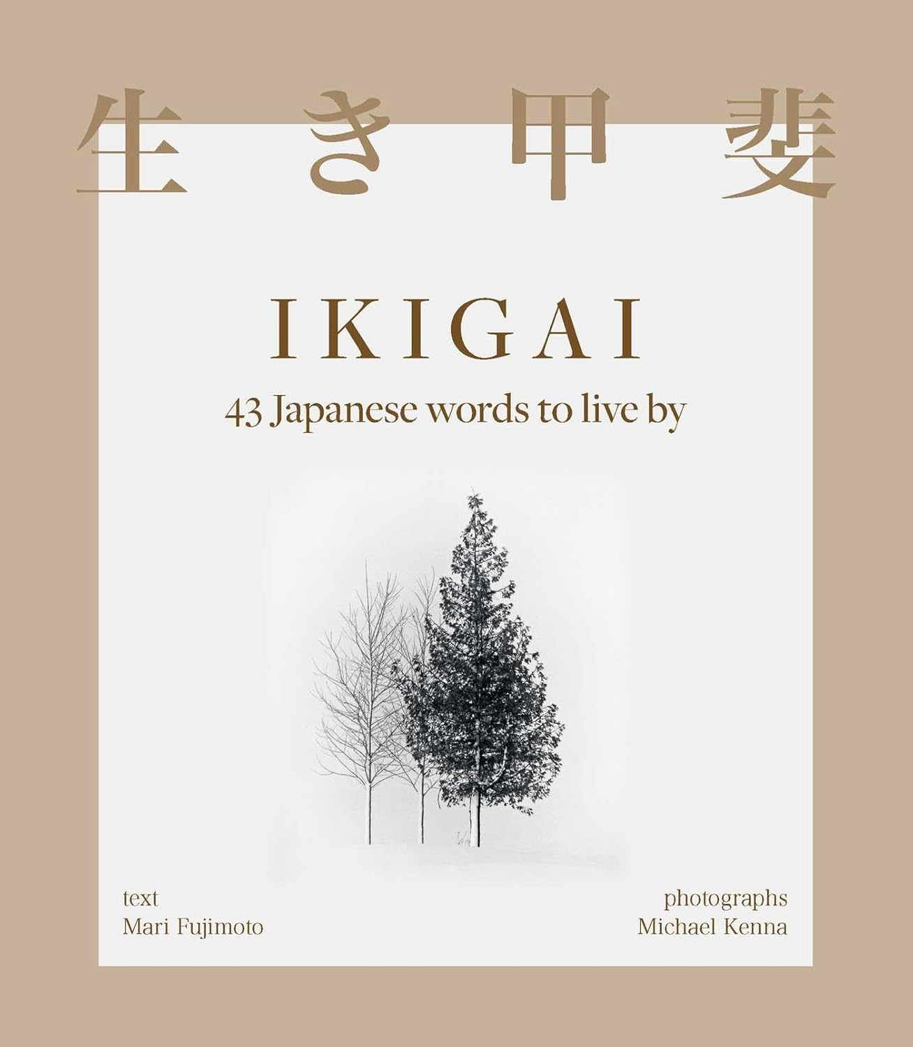Ikigai: 43 Japanese Words to Live By image number 1