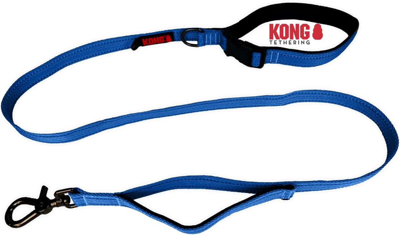 KONG Dog Lead in 1.5 M Length, for Medium Dogs up to 30 Kg, Size M, Traffic Safe Dog in Pink, Reflective Lead with 2 Padded Hand Loops and Robust Snap Hook