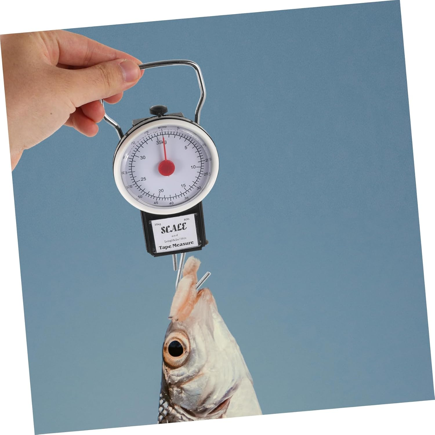 Gatuida Luggage Scale Portable Spring Scale for Travel for Weighing Luggage and Fishing Gear image number 4