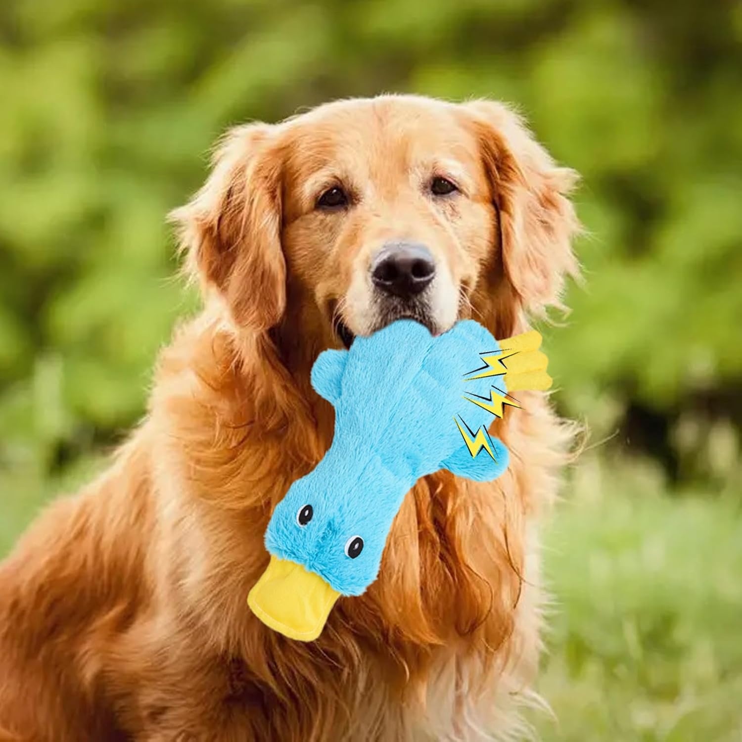 YSHIGUING Calming Duck Dog Toy for Indoor Puppy,Quack-Quack Duck Dog Toy,The Cute Dog Duck, Dogs Emotional Support Duck Pillow,Crinkle Squeaky Plush Stuffed Duck Dog Chew Toys,Birthday Gift (Blue)
