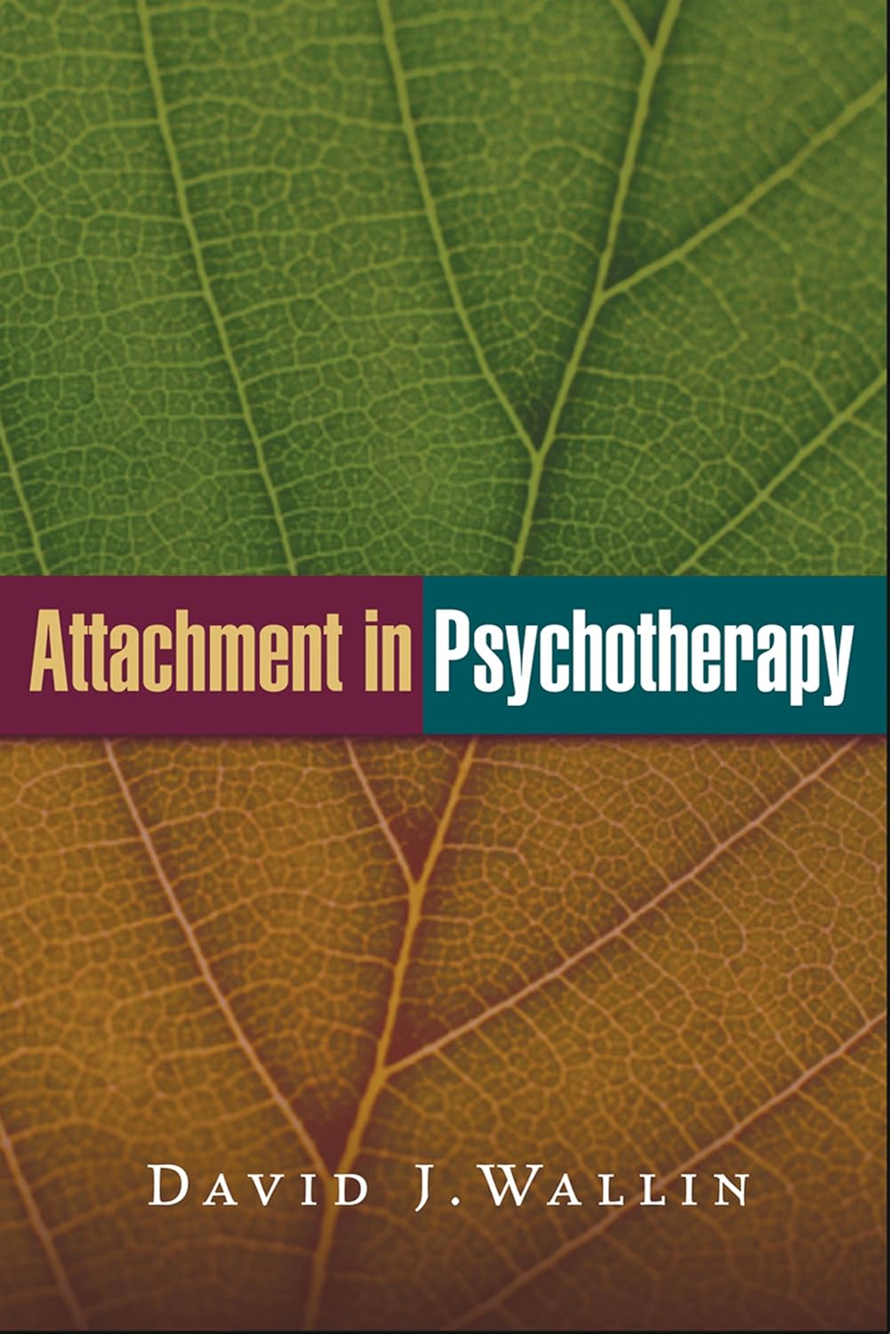 Attachment in Psychotherapy image number 1