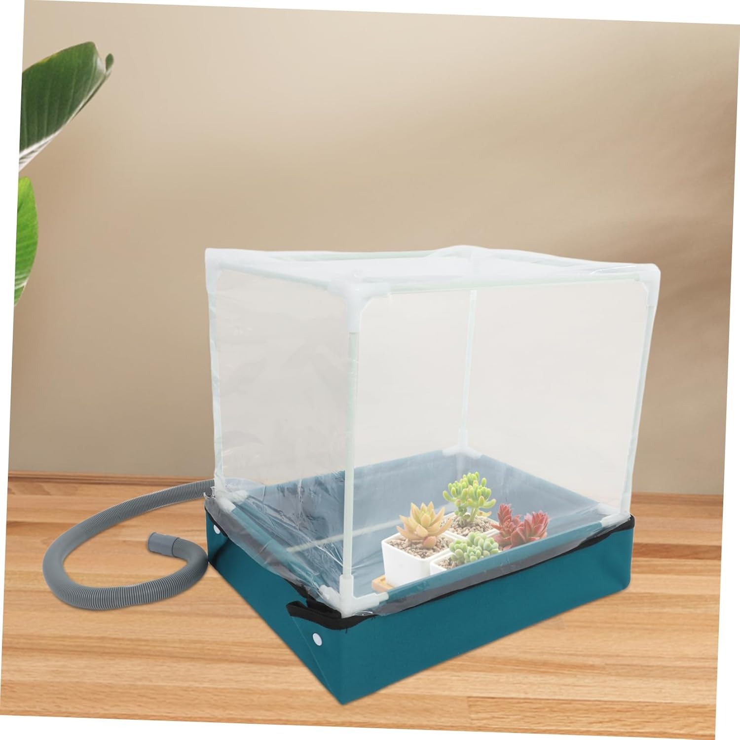 PAMINGONO Succulent Planting Box Indoor Greenhouse Kit Compact Succulent Greenhouse for Tabletop Garden Display Mini Plant Container Drainage and Small Container Gardening image number 5