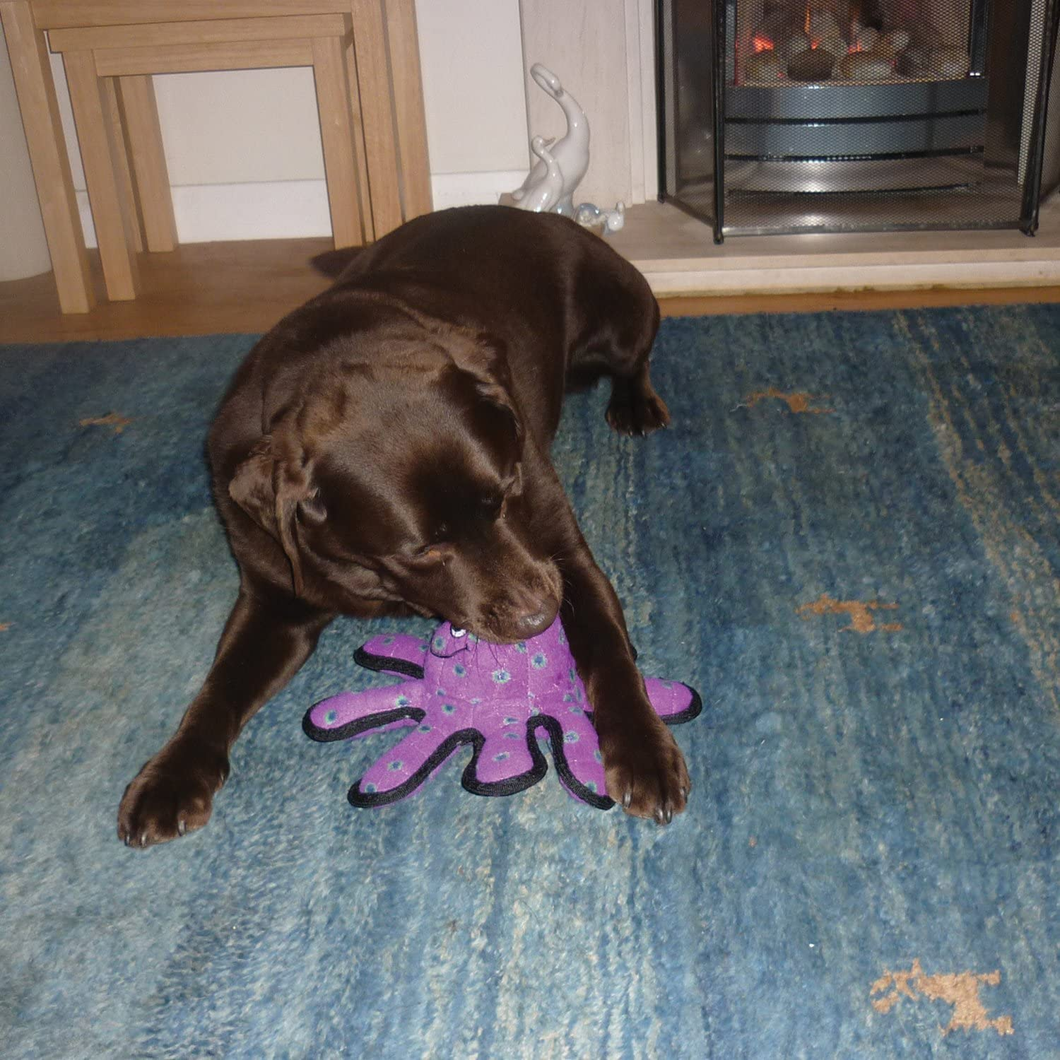 TUFFY Plush Dog Squeaker Toy, Blue, L (Pack of 1), TTSS image number 1