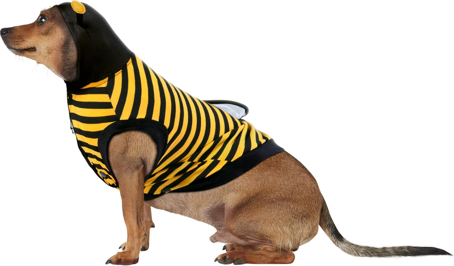 Rubies Bumble Bee Pet Costume for Dogs or Cats, Medium image number 2