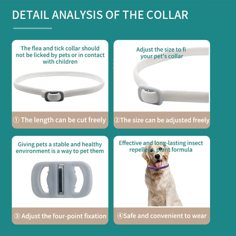 Pets4Luv Flea and Tick Collar for Dogs, Natural Flea and Tick Prevention for Dogs, 8 Months of Protection, One Size Fits All Dogs, Adjustable and Waterproof Design 3PCS image number 6