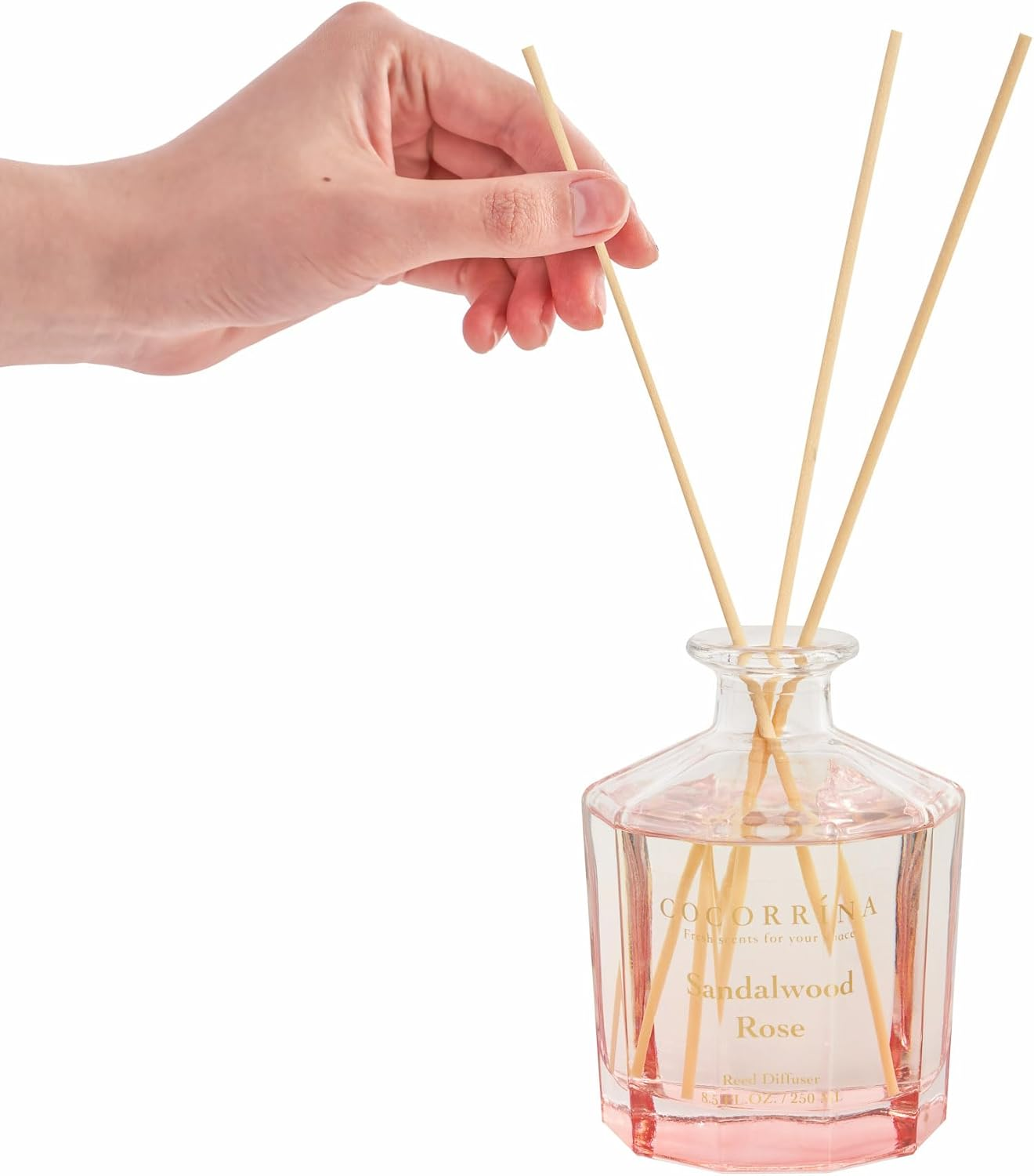 COCORR&Iacute;NA Reed Diffuser Set- Sandalwood Rose 8.5Oz Flower with 8 Sticks, Home Fragrance Reed Diffuser for Home Bedroom Office Bathroom Shelf Decor (Master Collection) image number 4