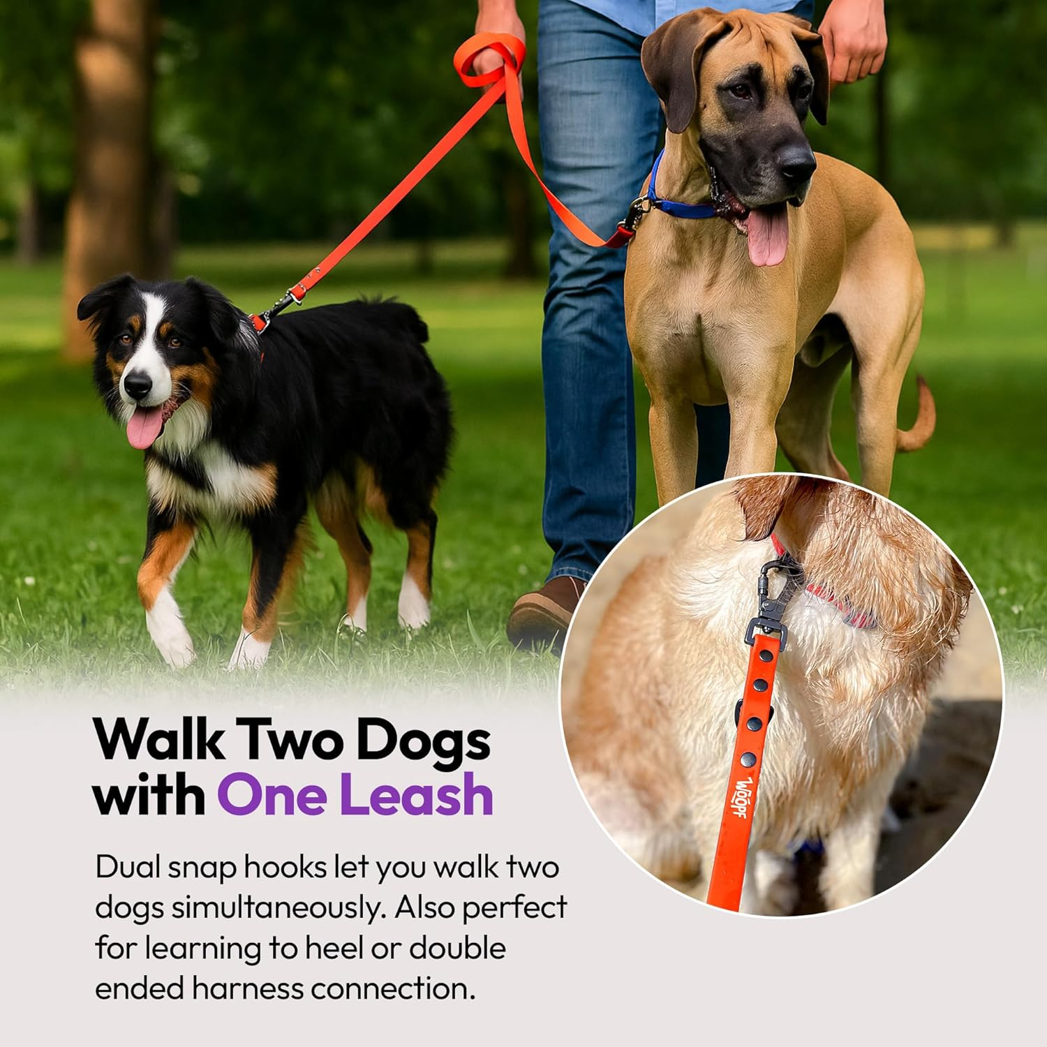 Waterproof Training Leads for Dogs & Puppies | Strong Dog Leash for Playing, Running & Walking | 6.5Ft Adjustable Long Dog Lead | Durable & Stain Resistant | Adjustable Size (Coral) image number 4