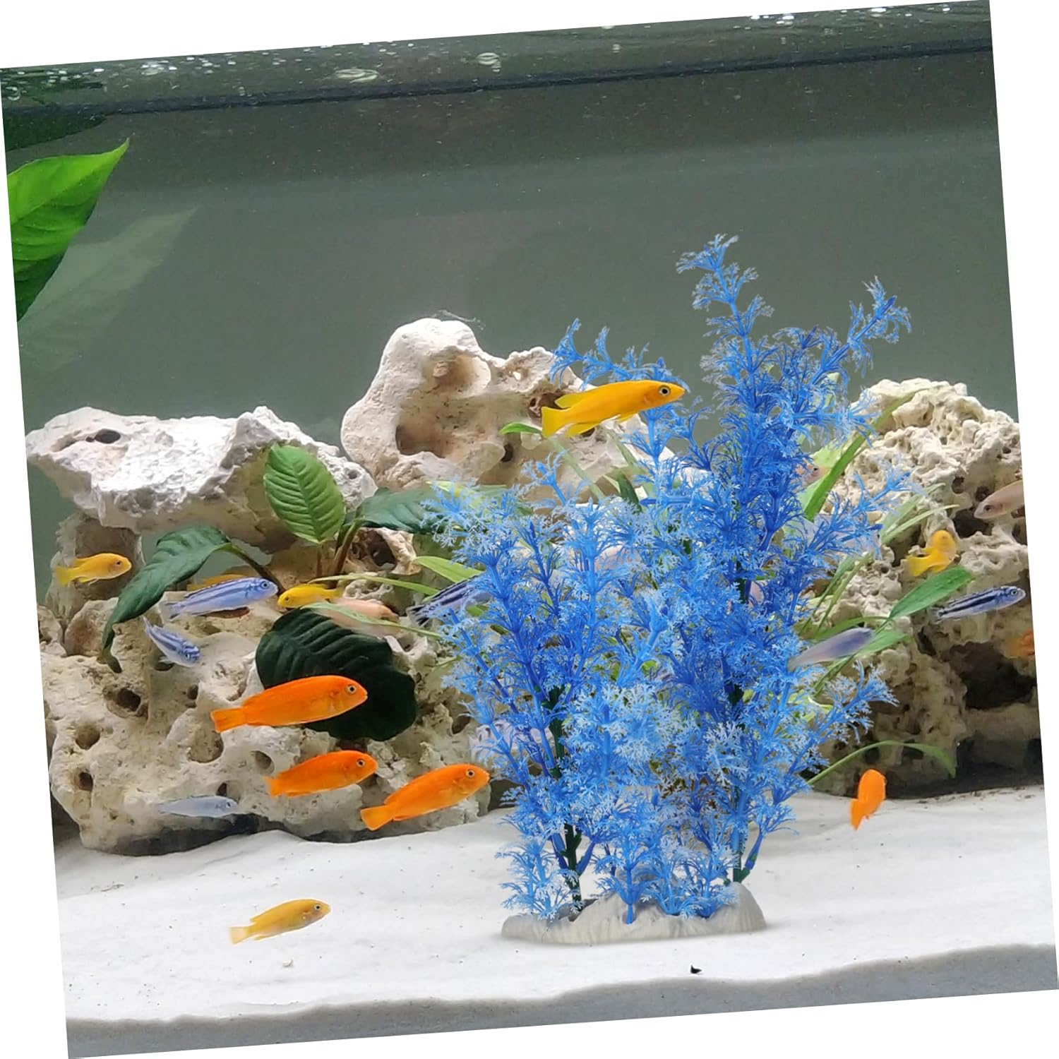 VANZACK Simulation Plant Faux Plant S Pet Aquarium Accessories Skull Cave for Aquarium Turquoise Fish Tank Ornament Simulation Water Grass Fish Tank Decorations Tall Grass Large image number 5