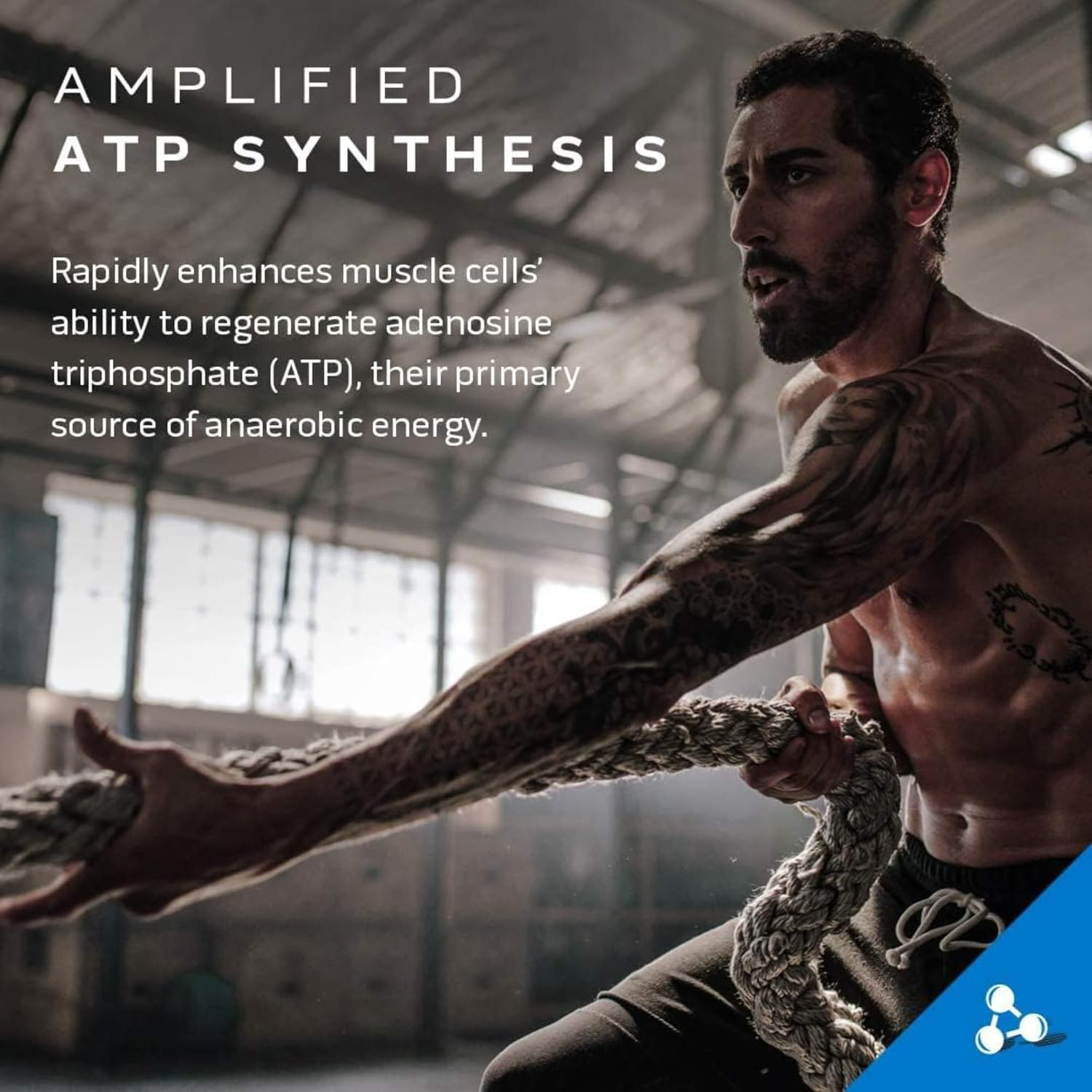 Muscletech Creactor, Max Potency Creatine Powder, Micronized Creatine and Creatine Hcl, Fruit Punch Extreme, 120 Servings (269G) image number 1