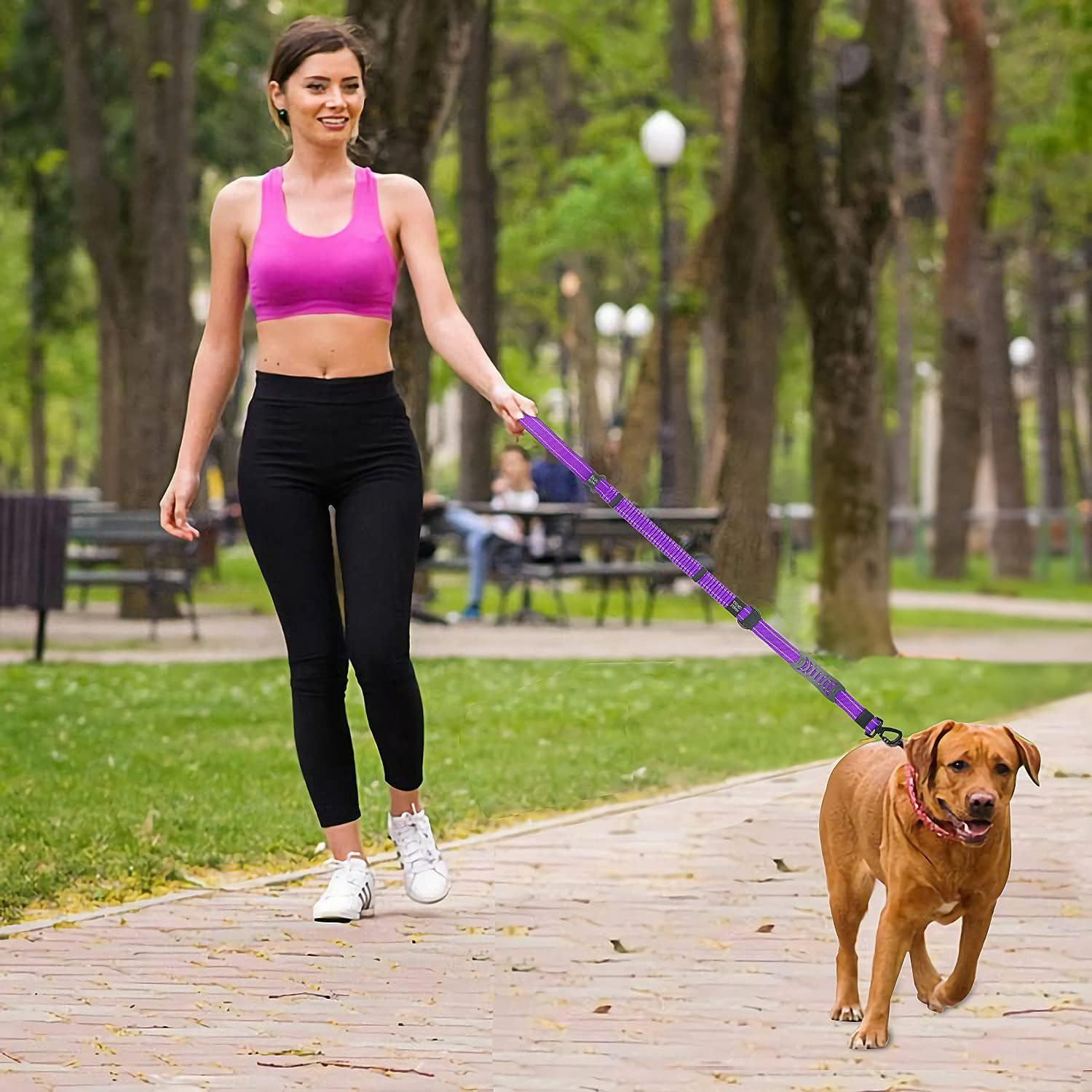 Q.K Bungee Dog Lead, Shock Absorbing Reflective Dog Lead, Dog Walking Running Elastic Lead with 2 Padded Handle & Car Seat Belt Buckle, Adjustable Dog Leash Heavy Duty for Large Medium Small Dogs