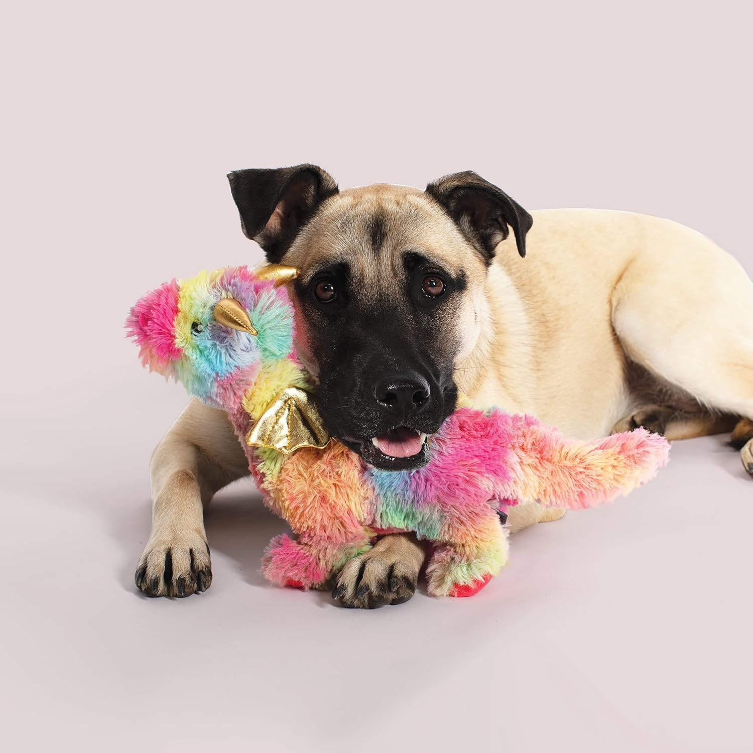 FRINGE Studio Dog Toy, Rainbow Dragon-Plush Pet Toy (289365) image number 1