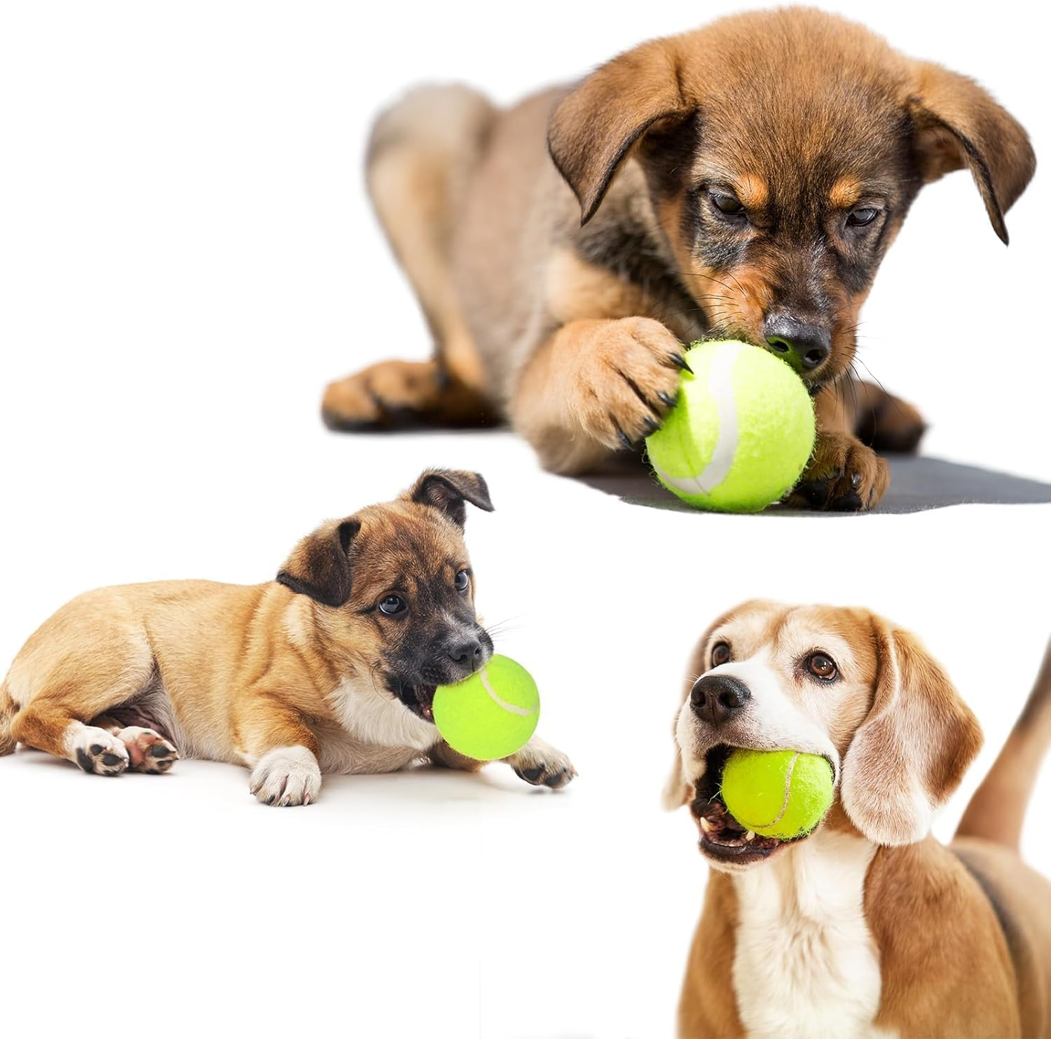 8 PCS 2 Inch Tennis Balls Compatible with Most Automatic Ball Launchers, for Puppy Dogs Playing Exercise and Practice image number 4