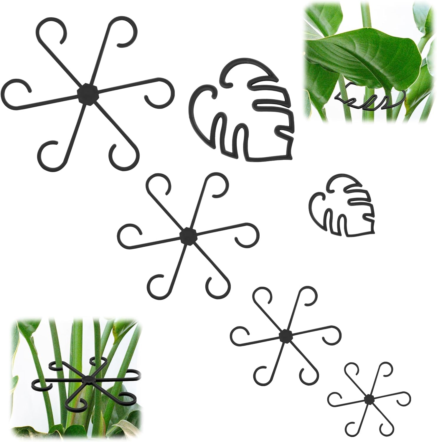 6Pcs Plant Stem Supports, Reusable Monstera Plant Stakes Sturdy Leaf Buddy Support Green Plants Propagation Holder Climbing Houseplant Trellis for Indoor Plants Healthy Growth Rack (Black)