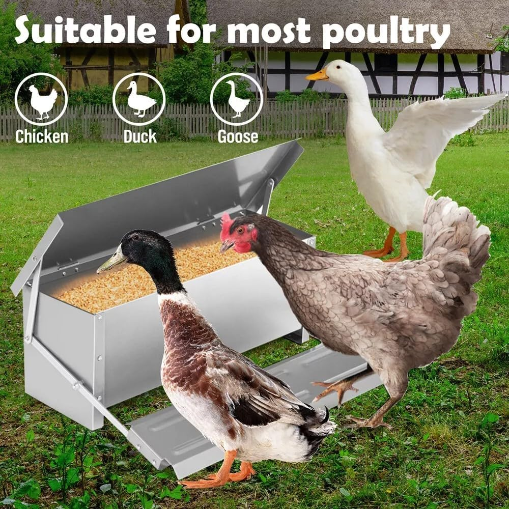 10KG Automatic Chicken Feeder &ndash; Weatherproof Galvanised Poultry Treadle Feeder for Chicken, Duck & Goose &ndash; Rat-Proof Outdoor Metal Feed Box for Coop or Backyard image number 1