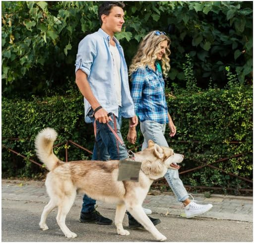 Dog Treat Bags Training Pouch Portable Puppy Dog Training Treat Pouch Auto Closing Pet Snack Reward Pocket Dog Food Dispenser Treat Pouches for Pet Training Travel or Outdoor Use image number 6