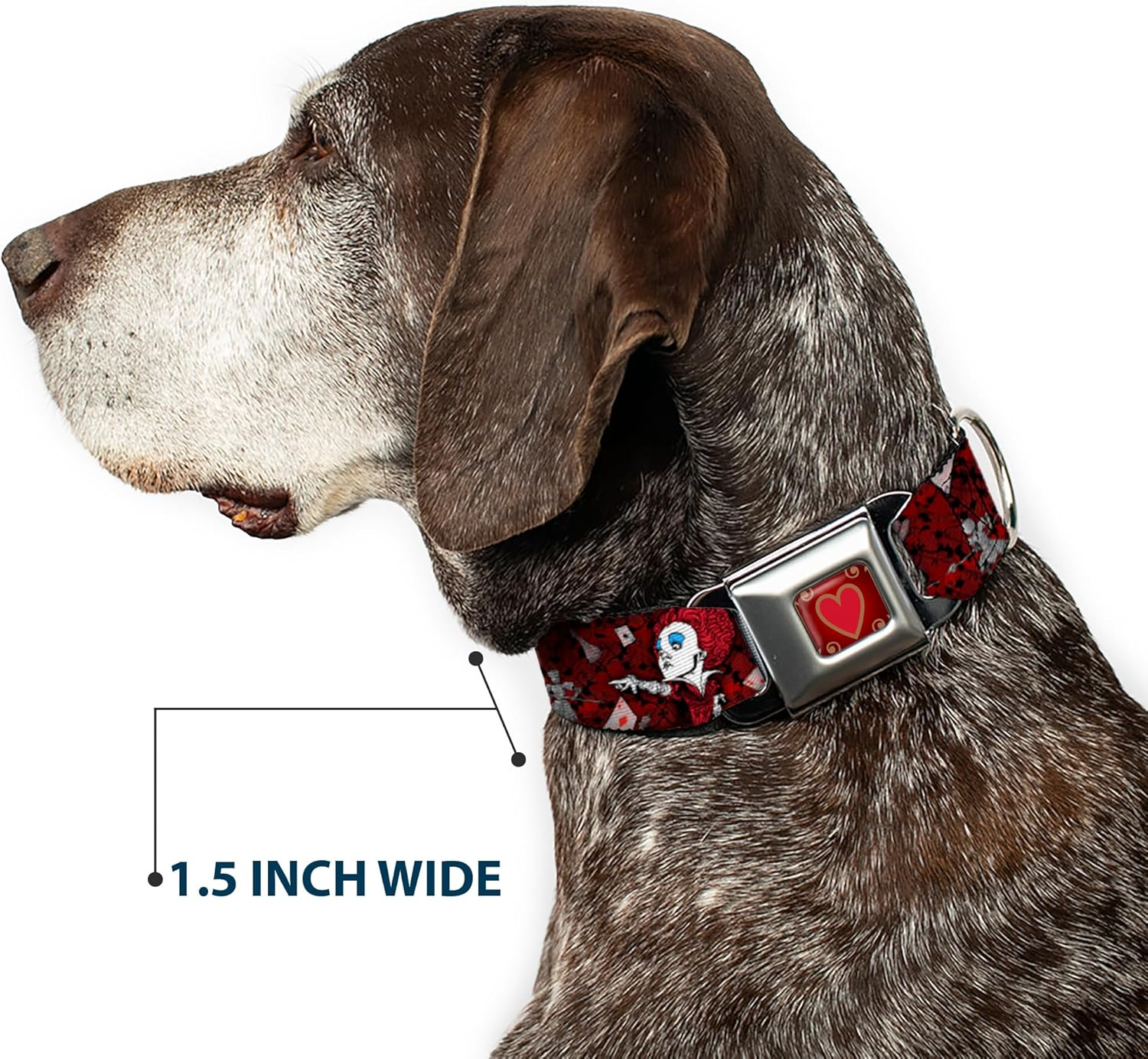 Buckle-Down Seatbelt Buckle Dog Collar - Queen of Hearts Poses/Hearts/Cards Reds/Black - 1.5" Wide - Fits 18-32" Neck - Large image number 6