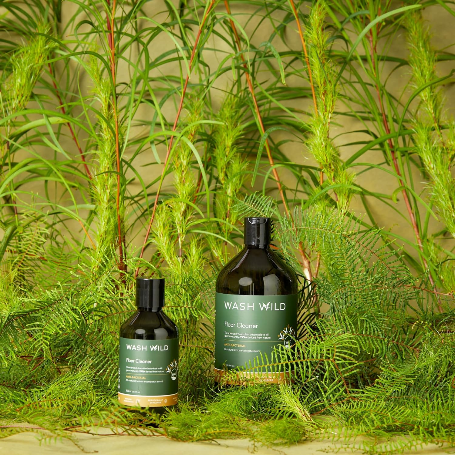 Wash Wild Floor Wash 300Ml, Natural Lemon Eucalyptus Scent, Concentrated & Non-Toxic, Safe on All Surfaces image number 2