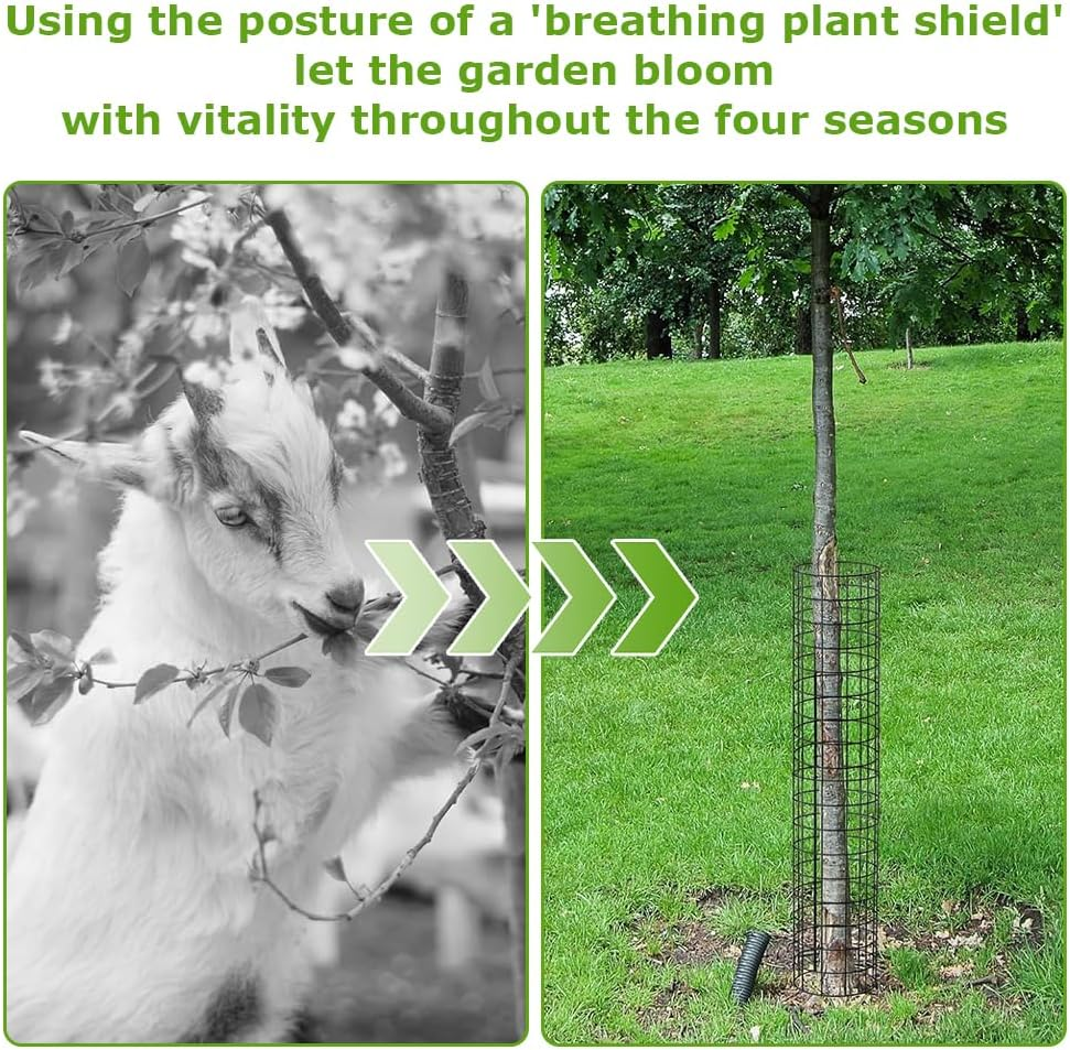 15Pcs round Plant Protector from Animals,Metal Wire Botany Protective Cover,Outdoor Gardening Supplies, Garden Plant Protection Net,For Keeping Bunnies Chicken Squirrels Birds Other Out image number 4