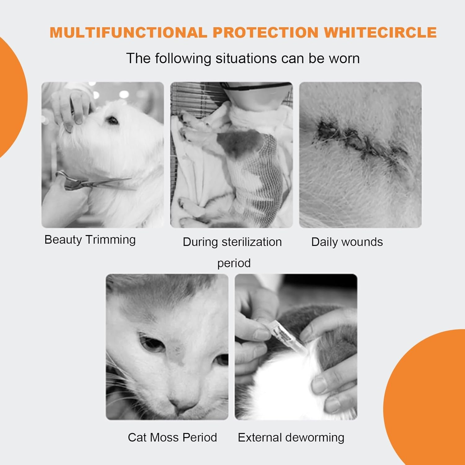 DAJING Cat Cone - Lightweight Plastic Elizabethan Collar for Cats, Mini Dogs, and Rabbits | Prevent Licking and Biting | Soft and Comfortable | Suitable for Recovery and Grooming (M, Black)