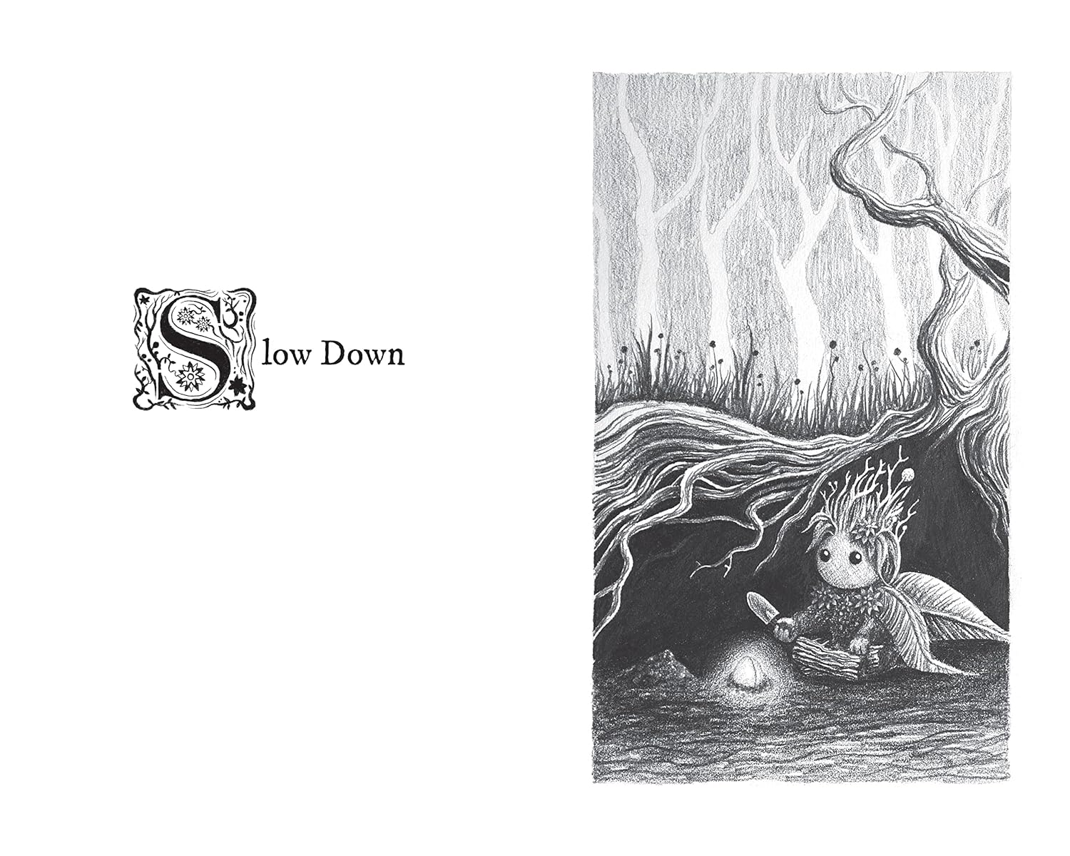 Watering the Soul image number 2