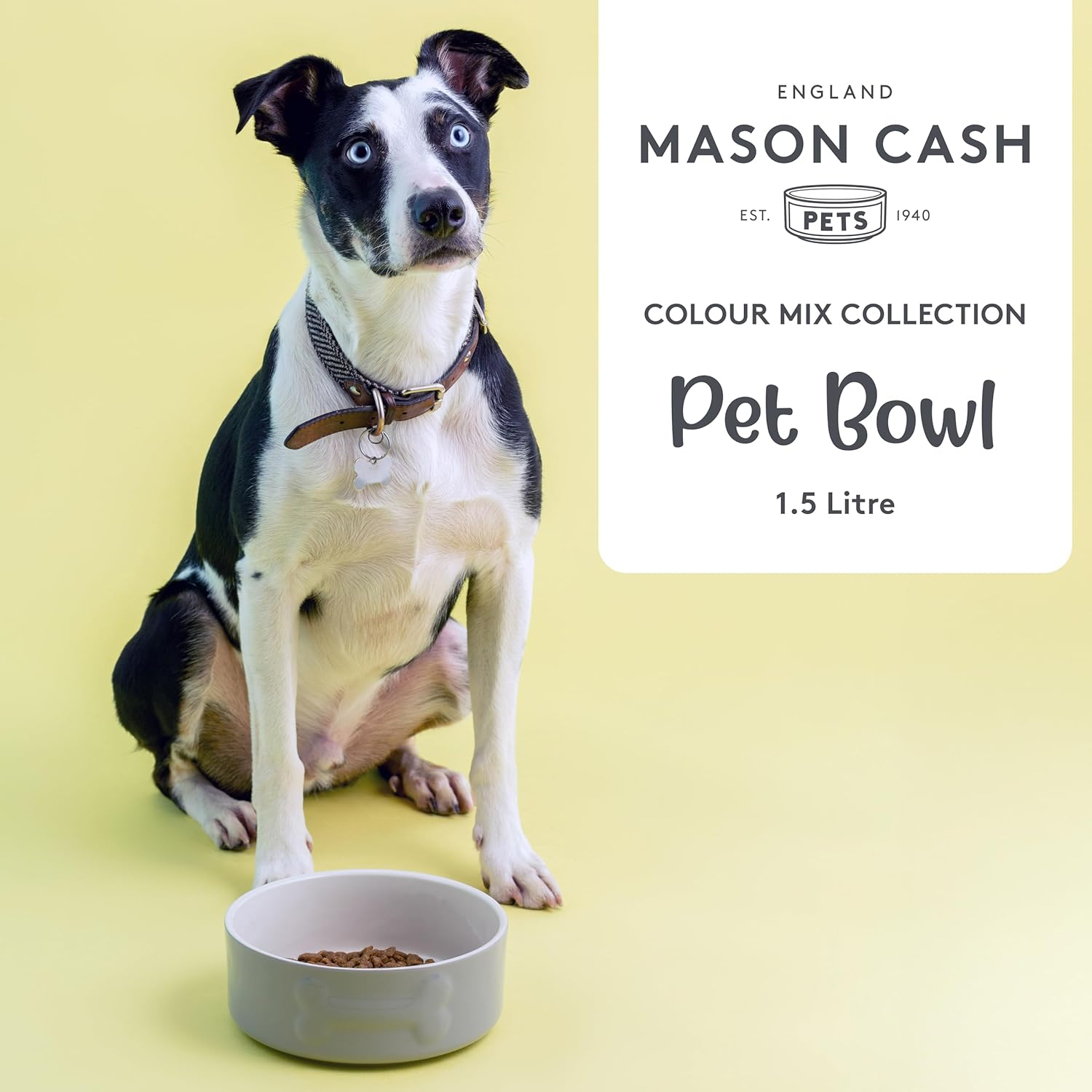 Mason Cash Ceramic Dog Bowl, 20 Cm - Grey image number 4