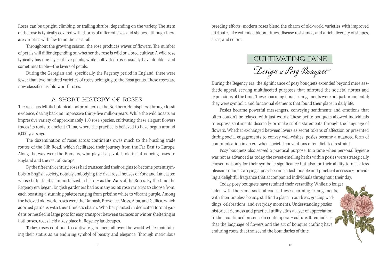 Jane Austen'S Garden: a Botanical Tour of the Classic Novels image number 3