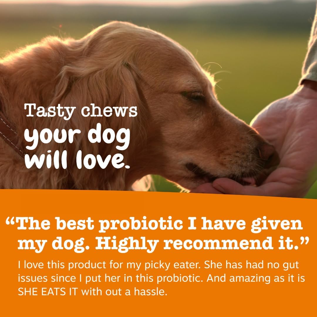 Zesty Paws Probiotic for Dogs - with Natural Digestive Enzymes + Prebiotics & Pumpkin - for Diarrhea & Upset Stomach Relief + Gas & Constipation - Allergy & Immune + Hot Spots & Bad Breath Aid image number 6