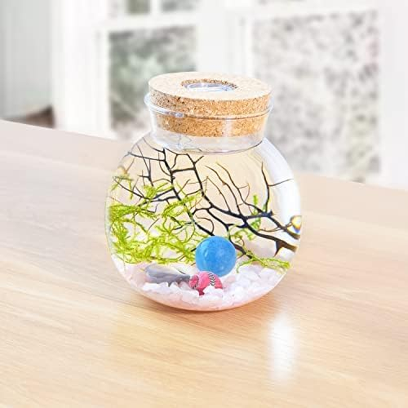 Mini Betta Fish Tank Fish Bowl Fish Tank Decor Flower Pot Hydroponic Plant Terrarium Aquarium Kit with LED Light, Crystal Stone, Java Moss (Style G)&hellip; image number 2