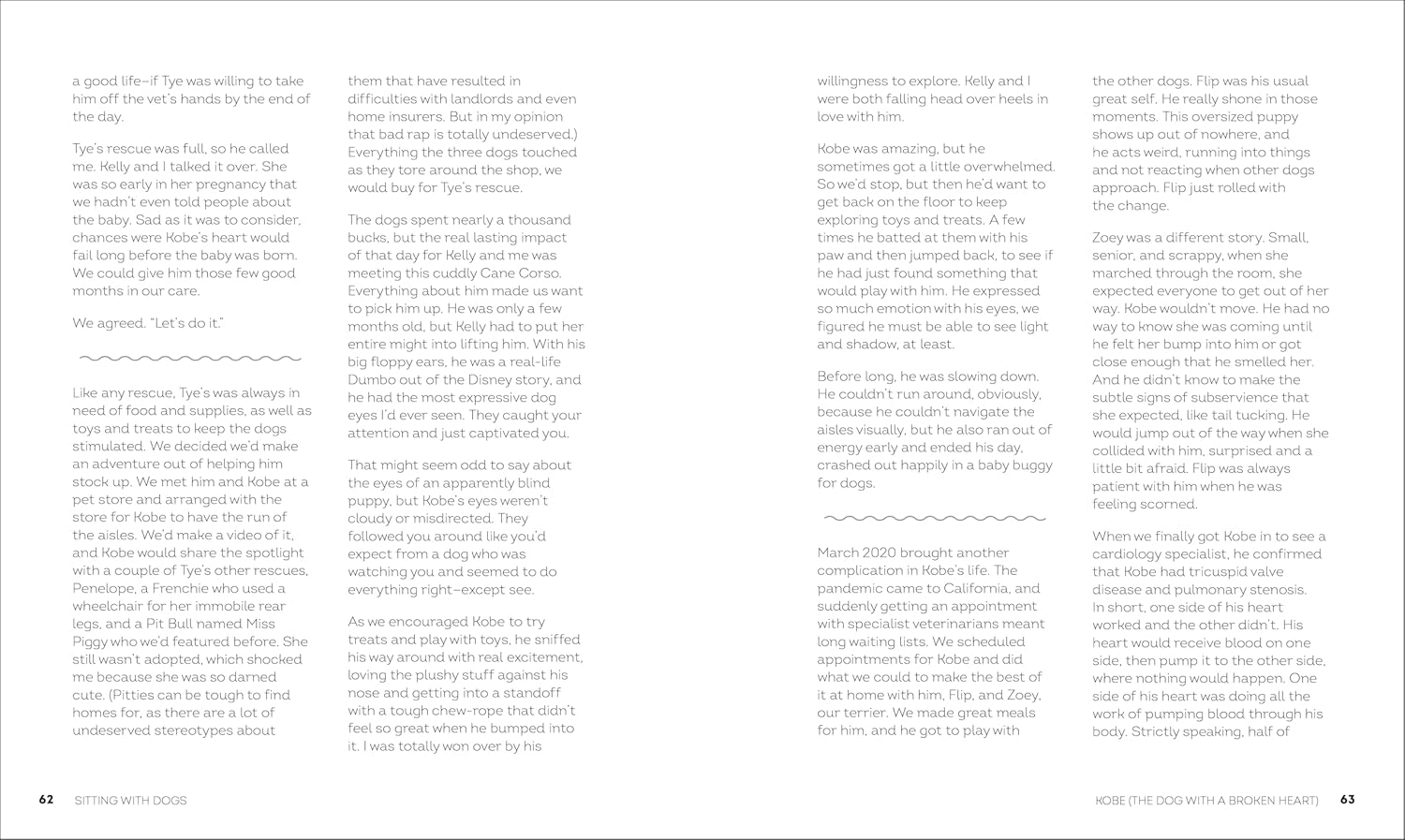 Sitting with Dogs: Stories of Rescue Dogs Going from Lost to Loved