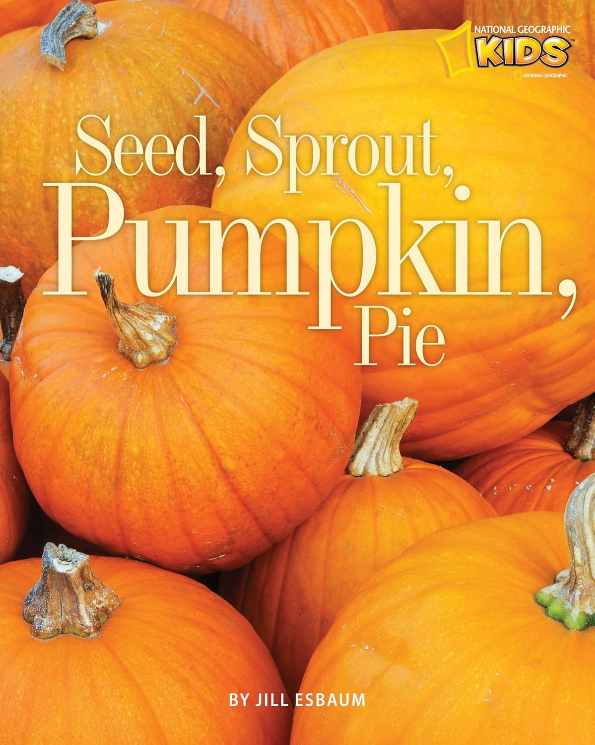 Seed, Sprout, Pumpkin, Pie image number 1