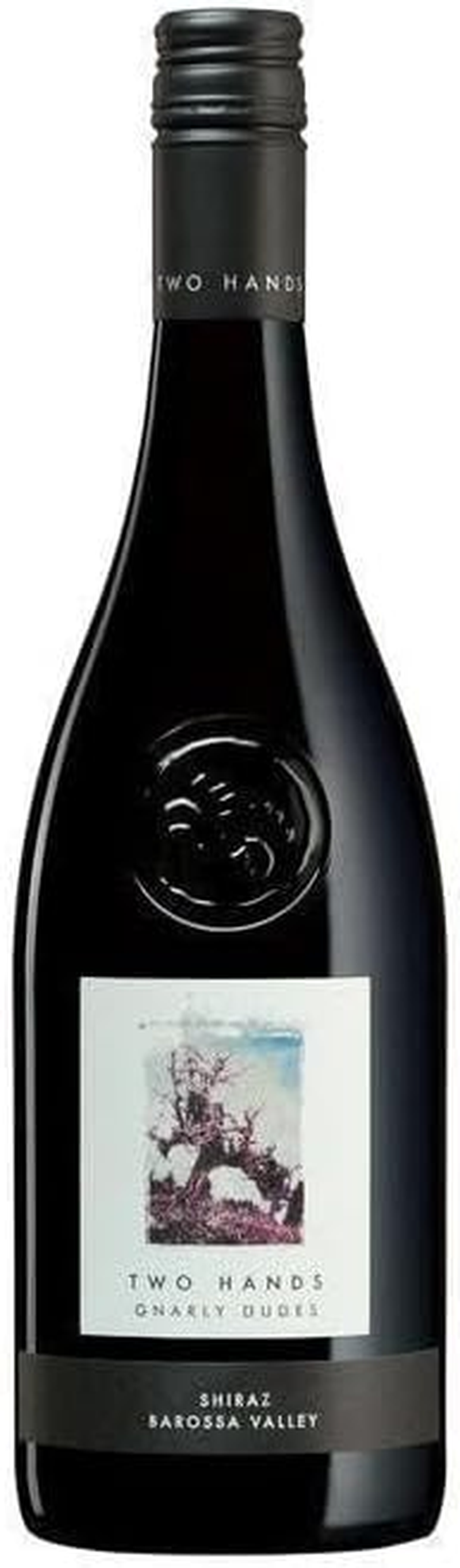 Two Hands Gnarly Dudes Shiraz 1.5L