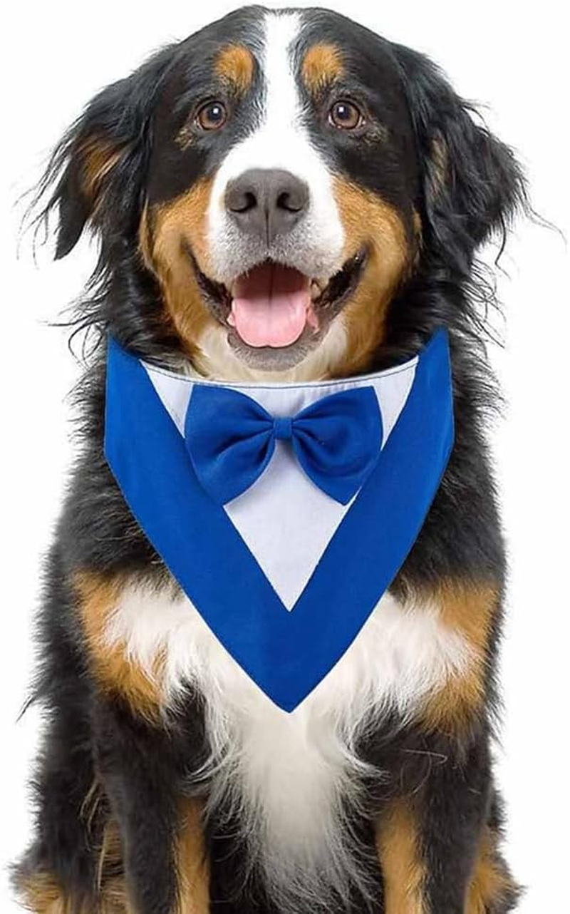 VENEKA Dog,Formal Dog Wedding Collar with Bow Tie,Dog Birthday Costume Pet,Dog Valentines Outfit Cosplay,S Blue High Guality image number 4