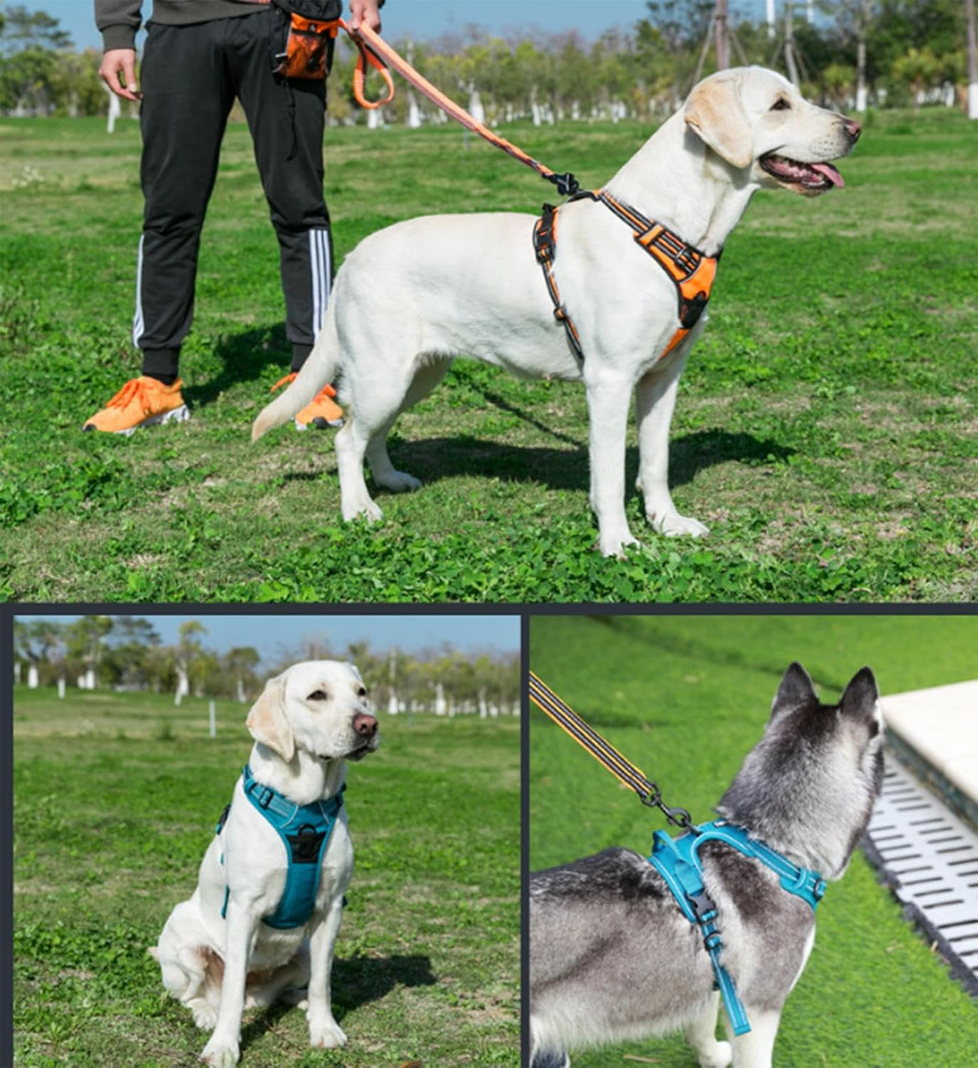 No Pull Dog Harness, No Choke Front Clip Reflective Dog Vest with Soft Padded Vertical Handle, 3 Leash Attachments for Small Medium Large Dogs,A-Xsmall image number 4