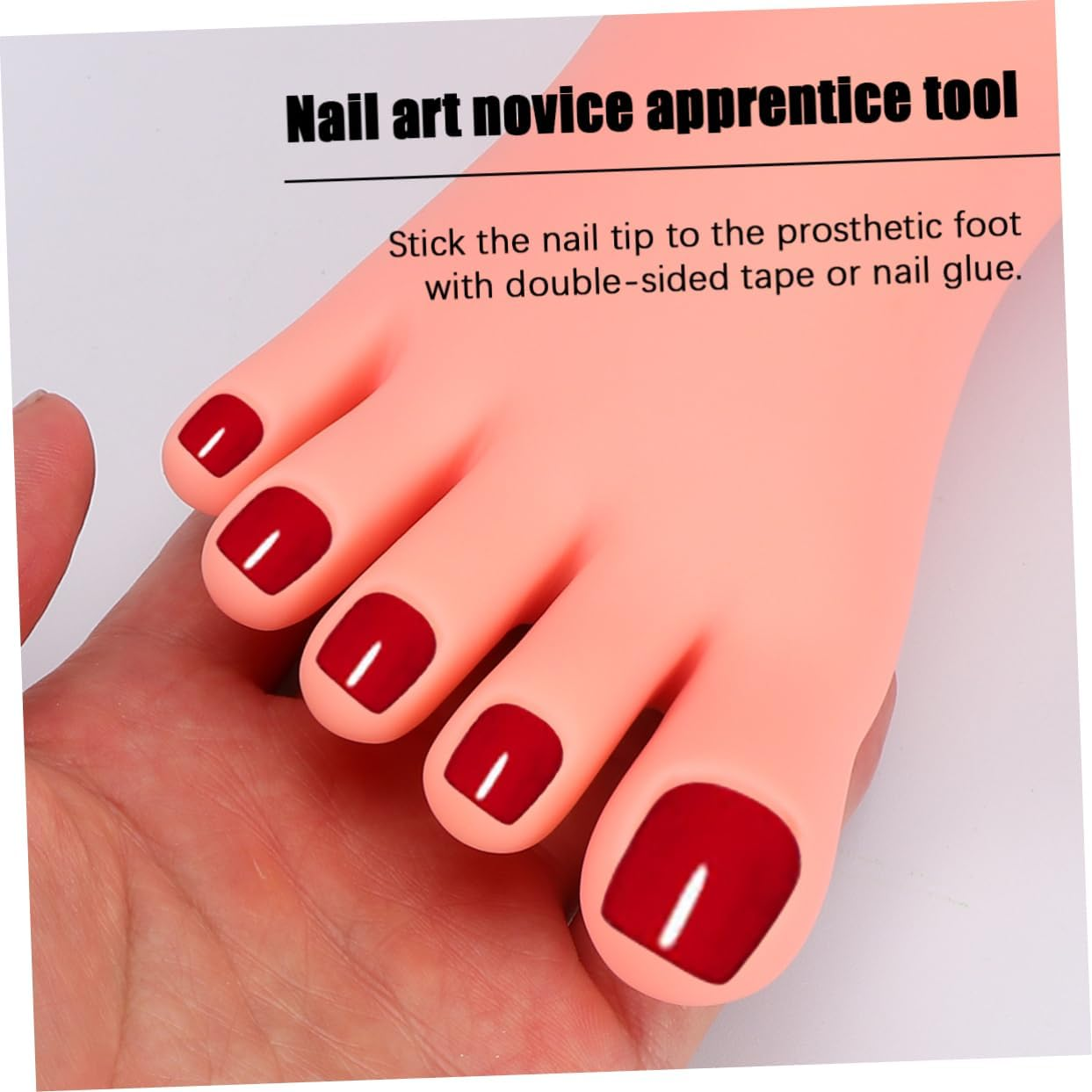 FRCOLOR Foot Model Nail Art Practice Right Foot Manicure Training Tool for Lady Girl image number 4