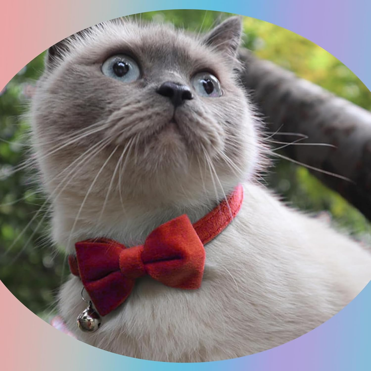 RTRTGS Pack of 2 Velvet Cat Collar with Bell and Bow Tie Adjustable for Small Puppies Safety Bow Tie Plain for Weddings Basic Colour Cat Bow Tie image number 4