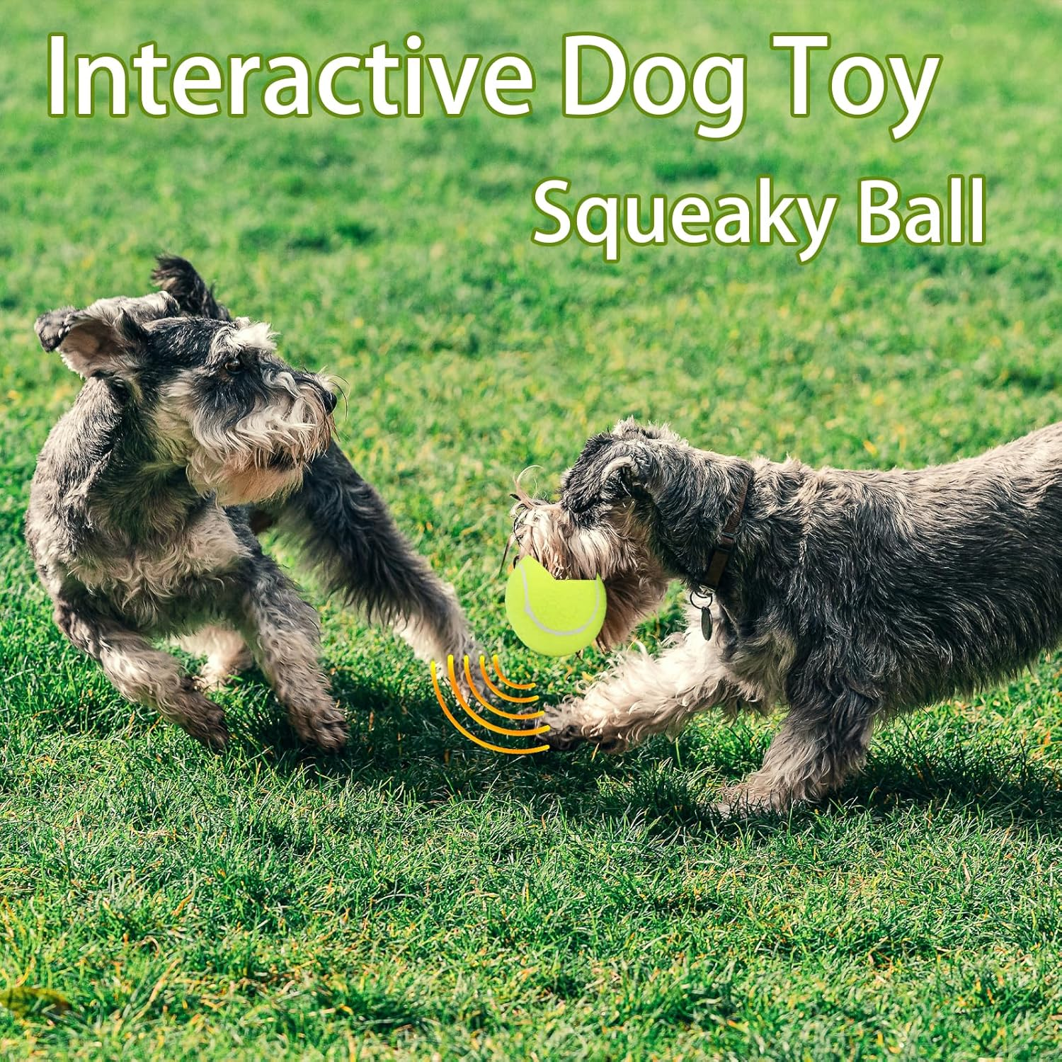 Magicorange Dog Tennis Balls, 20 Pack 2.5 Inch Floatable Squeaky Tennis Balls for Fetch Exercise, Natural Rubber Squeaky Dog Balls Training Safe (Multicolor, 2.5Inch)