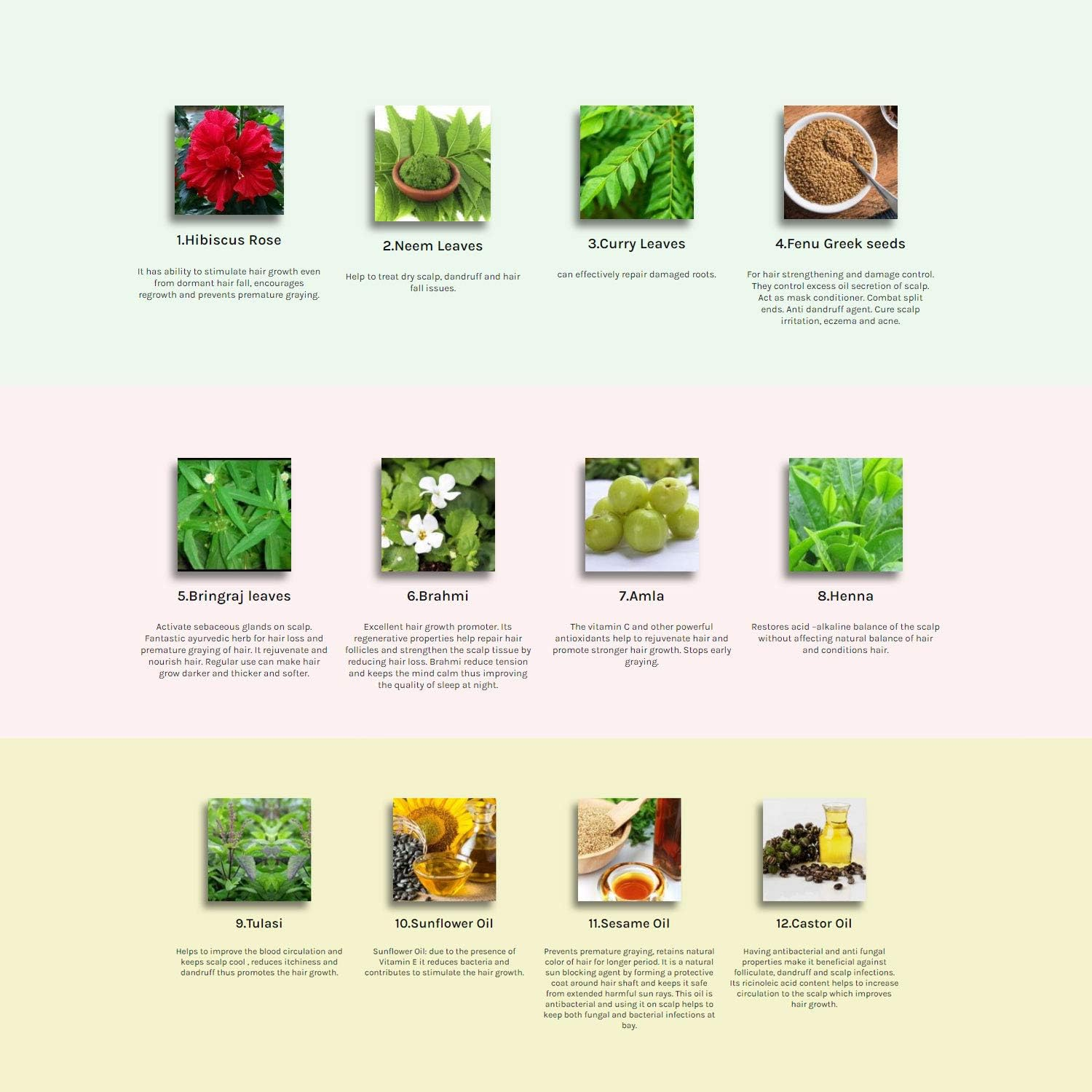 Ayurvedic Herbal Hair Oil Made with 21 Ayurvedic Herbs to Enhance Health, Multipurpose Hair Growth and anti Dandruff, Hair Fall Control, Thick and Long Hair by Hebhac Herbs (100Ml) image number 5