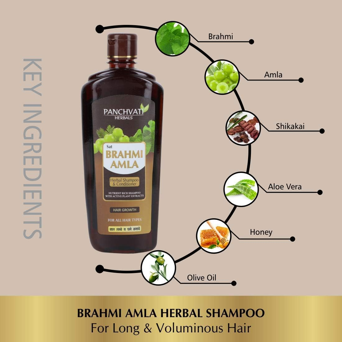 Panchvati Herbals Brahmi Amla Shampoo Promotes Faster Hair Growth Reduces Hair Fall Avoids Premature Greying Pack of 2 (Each 450 Ml) image number 1
