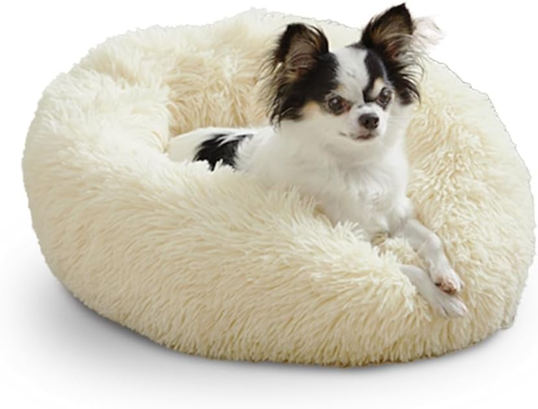 Iris Ohyama PSCB-500 Dog Cat Bed, Shaggy Cushion, Pet Bed, Ivory, Diameter Approx. 19.7 X Height 6.3 Inches (50 X 16 Cm)