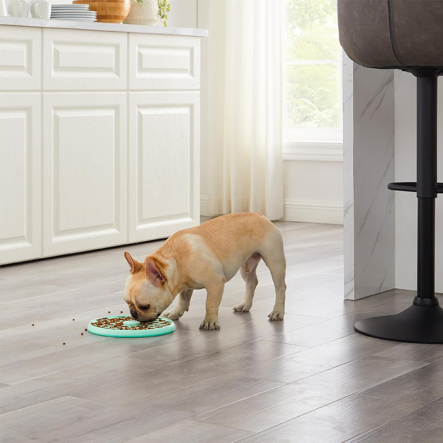 Outward Hound Fun Feeder Slo Tray Slow Feeder Dog Bowls for French Bulldogs & Other Brachycephalic Breeds