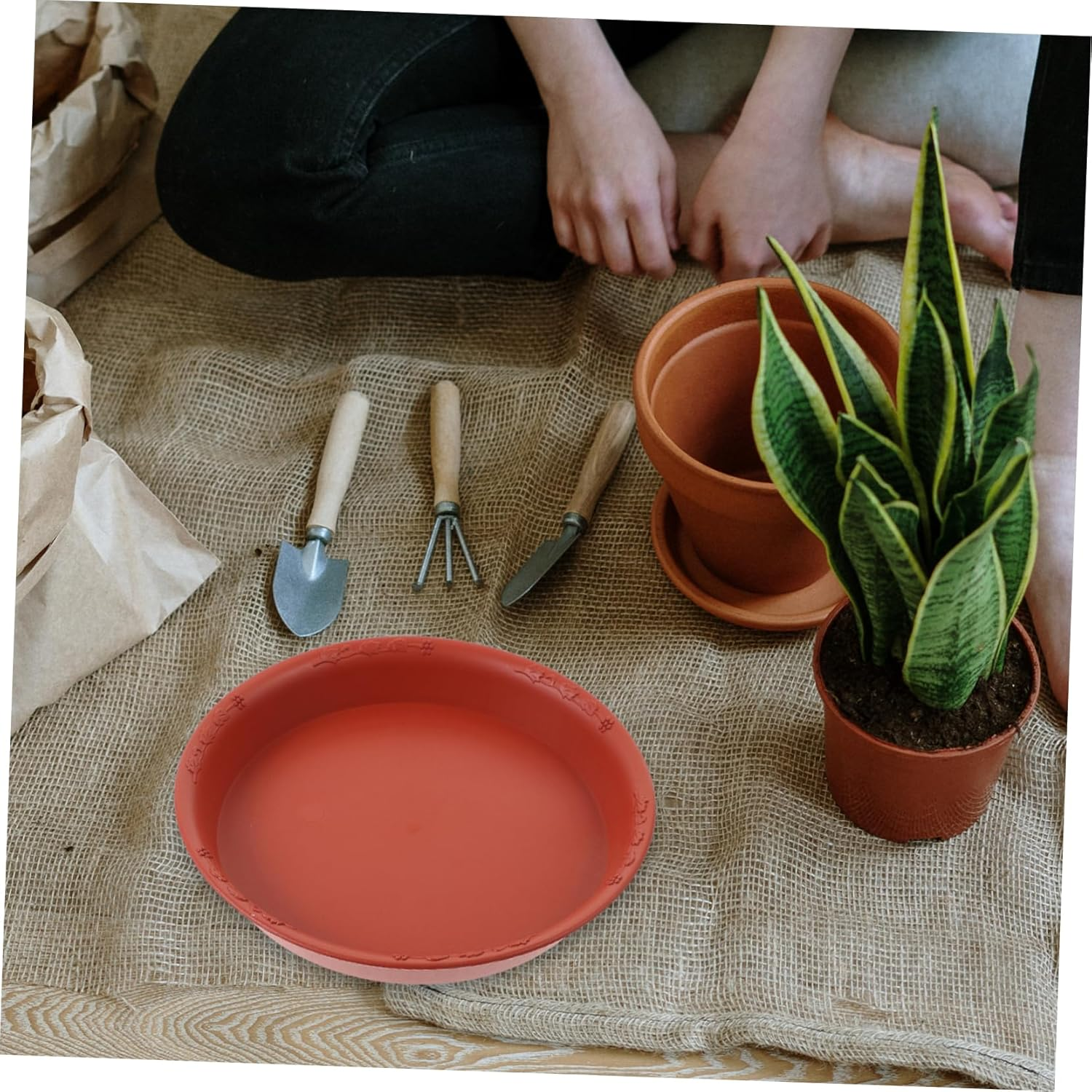 OFFSCH 10Pcs Plant Saucer Flower Pot Tray round Plant Drip Tray Bonsai Pot Saucer Gardening Supplies image number 6