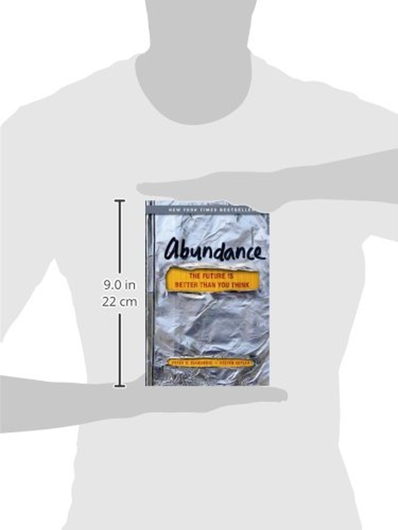 Abundance: the Future Is Better than You Think image number 4