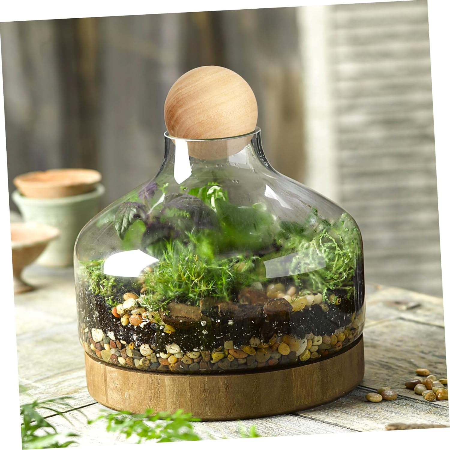 Tofficu Wooden round Ball for Crafts DIY Projects Solid Wood Ball for Sensory Play and Arts Crafts Supplies image number 4