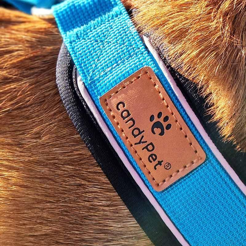 Reflective Y Shaped Dog Harness Ideal for Lebreles: Italian Greyhound Whippet Greyhound Podenco - Safe, Breathable and Durable, Perfect for Hiking, Training and Running