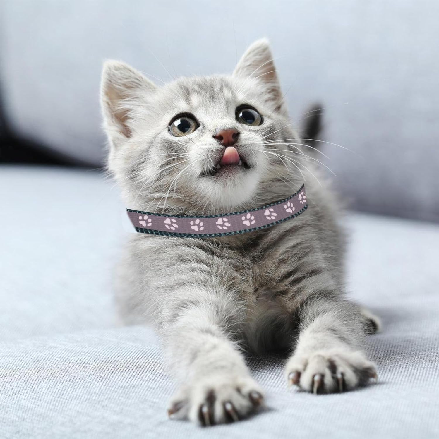 6 Pieces Pet Kitten Collars, Adjustable Kitten Collar, Reflective Cat Collar Pack with Bell, Kitten Collar Safety Quick Release Buckle, for Girl Male Cats Pet Supplies Stuff Accessories (Multicolorb) image number 2