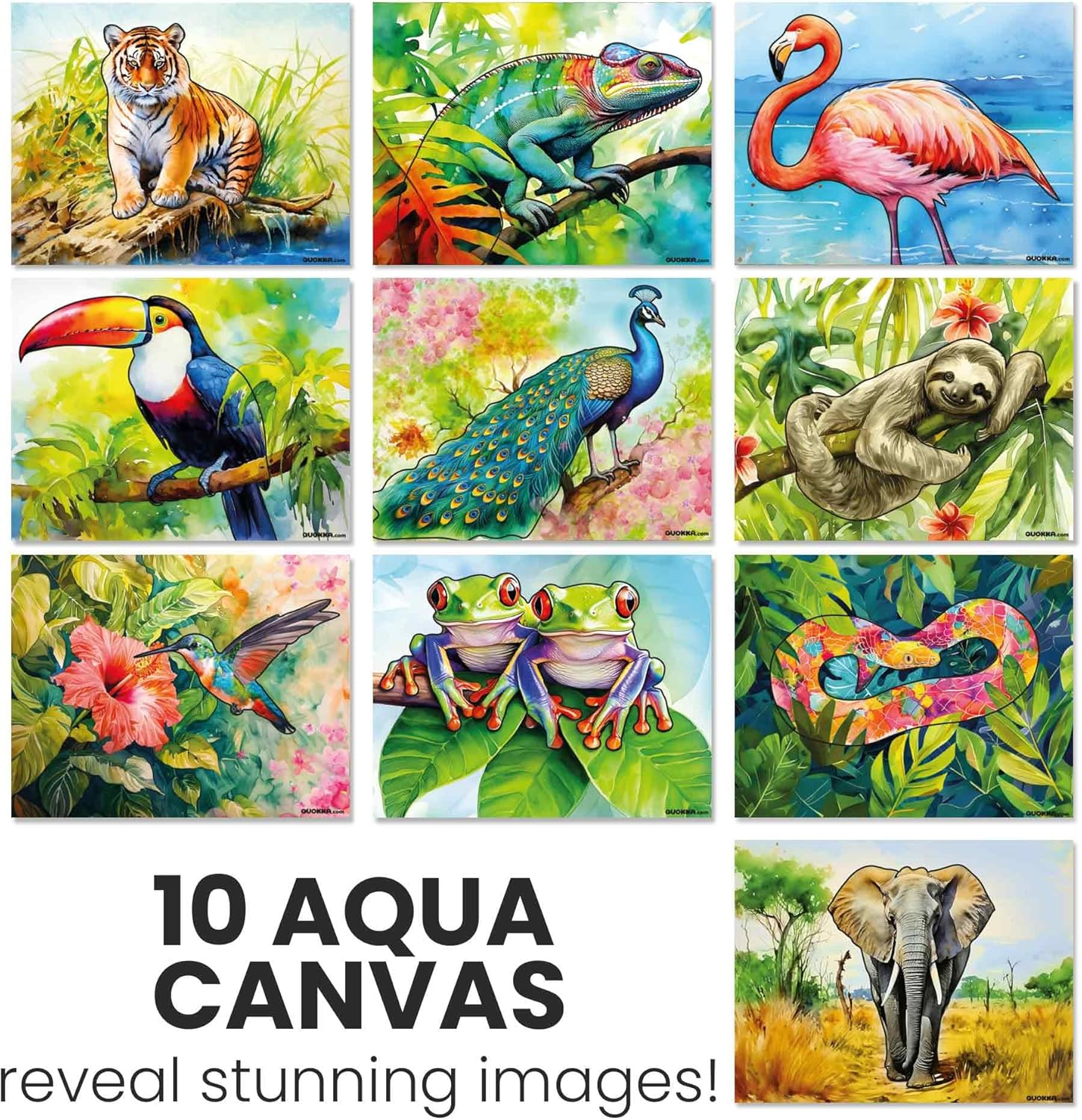 QUOKKA 10PACK Water Painting Dementia Activities for Seniors - Tropic Wildlife Memories - Alzheimers Products for Elderly - Activities for People with Dementia - Crafts for Seniors - Tropicwildlife image number 5