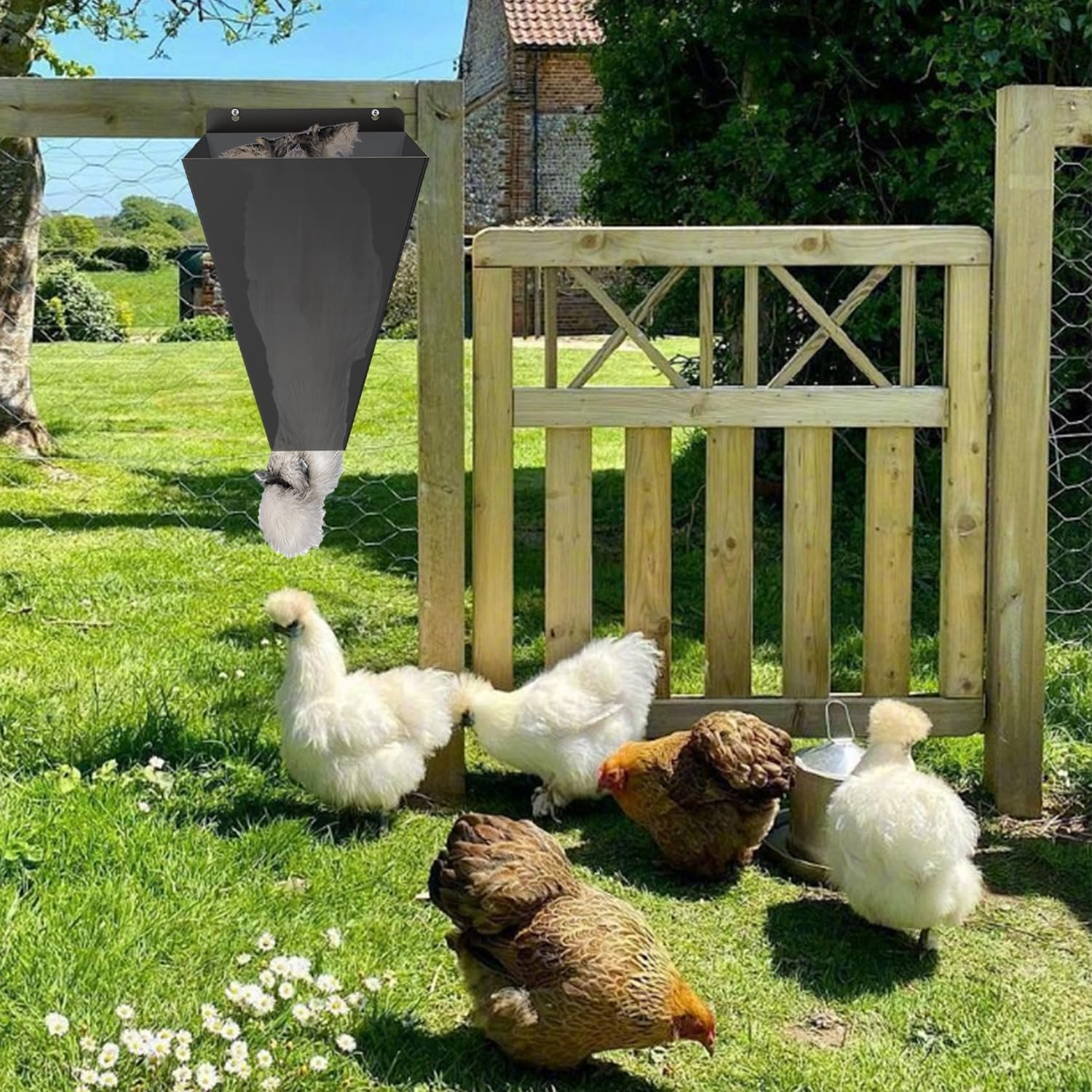 Medium Size Chicken Cone, Heavy Duty Steel Poultry Restraining Cones for Chicken, Flat Back Funnel Design, Killing Cone for Layers, Broilers, Roasters, Turkeys up to 8 Pounds, Easy to Clean image number 4